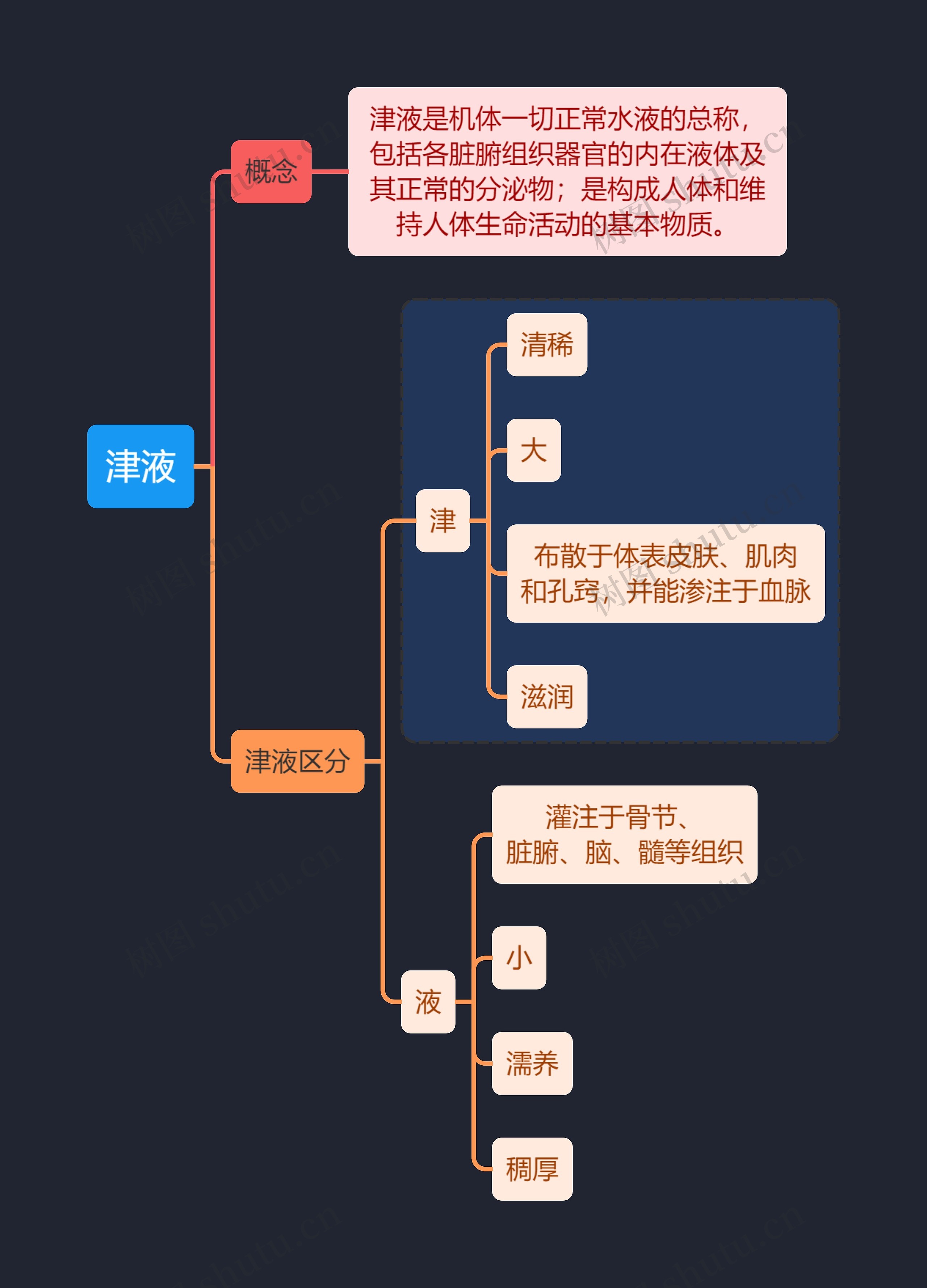 中医知识津液思维导图