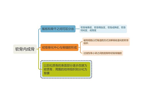 医学知识软骨内成骨思维导图