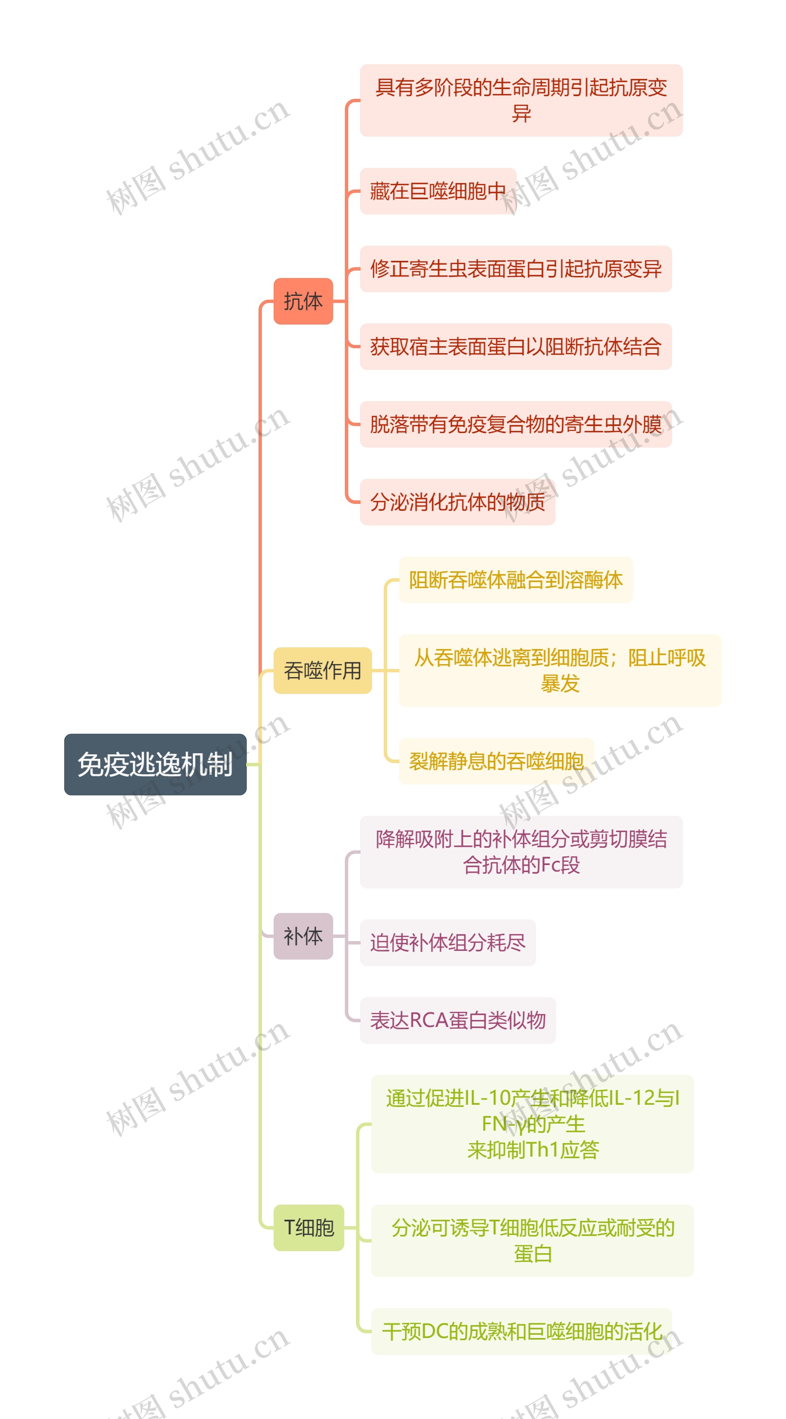 医学知识免疫逃逸机制思维导图