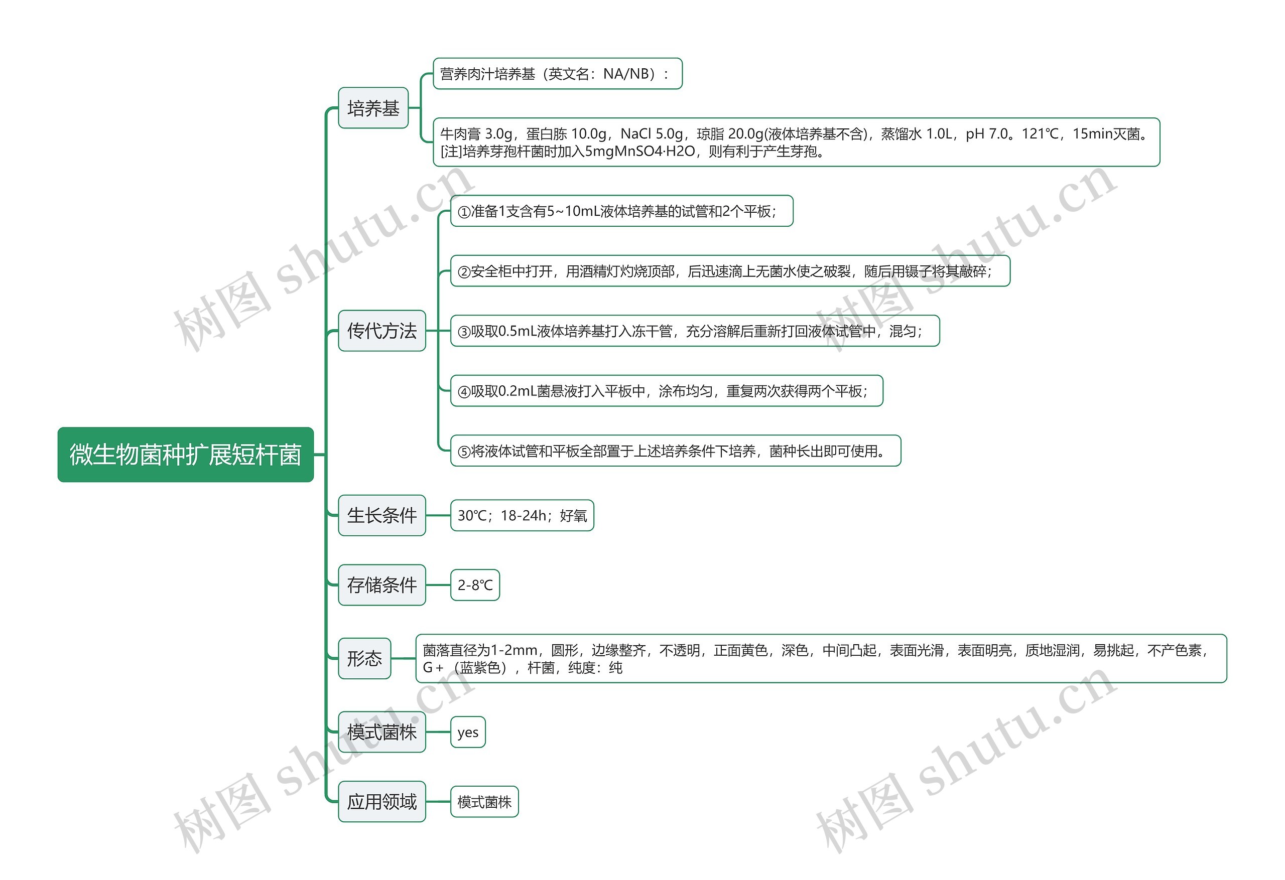 微生物菌种扩展短杆菌思维导图