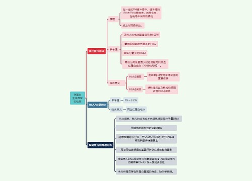 医学知识珠蛋白生成异常的检测思维导图