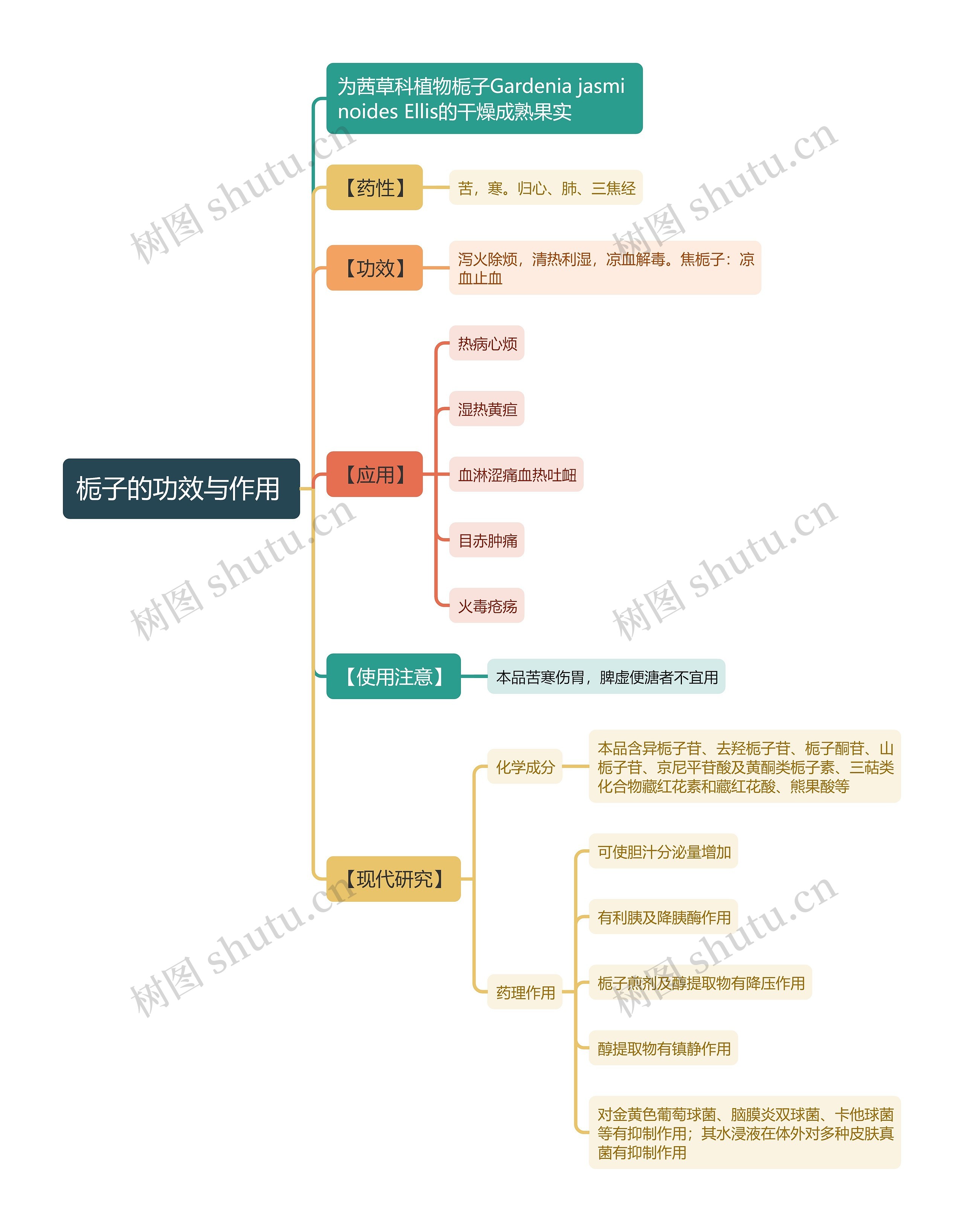 栀子的功效与作用
思维导图