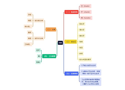 医学知识牙挺思维导图