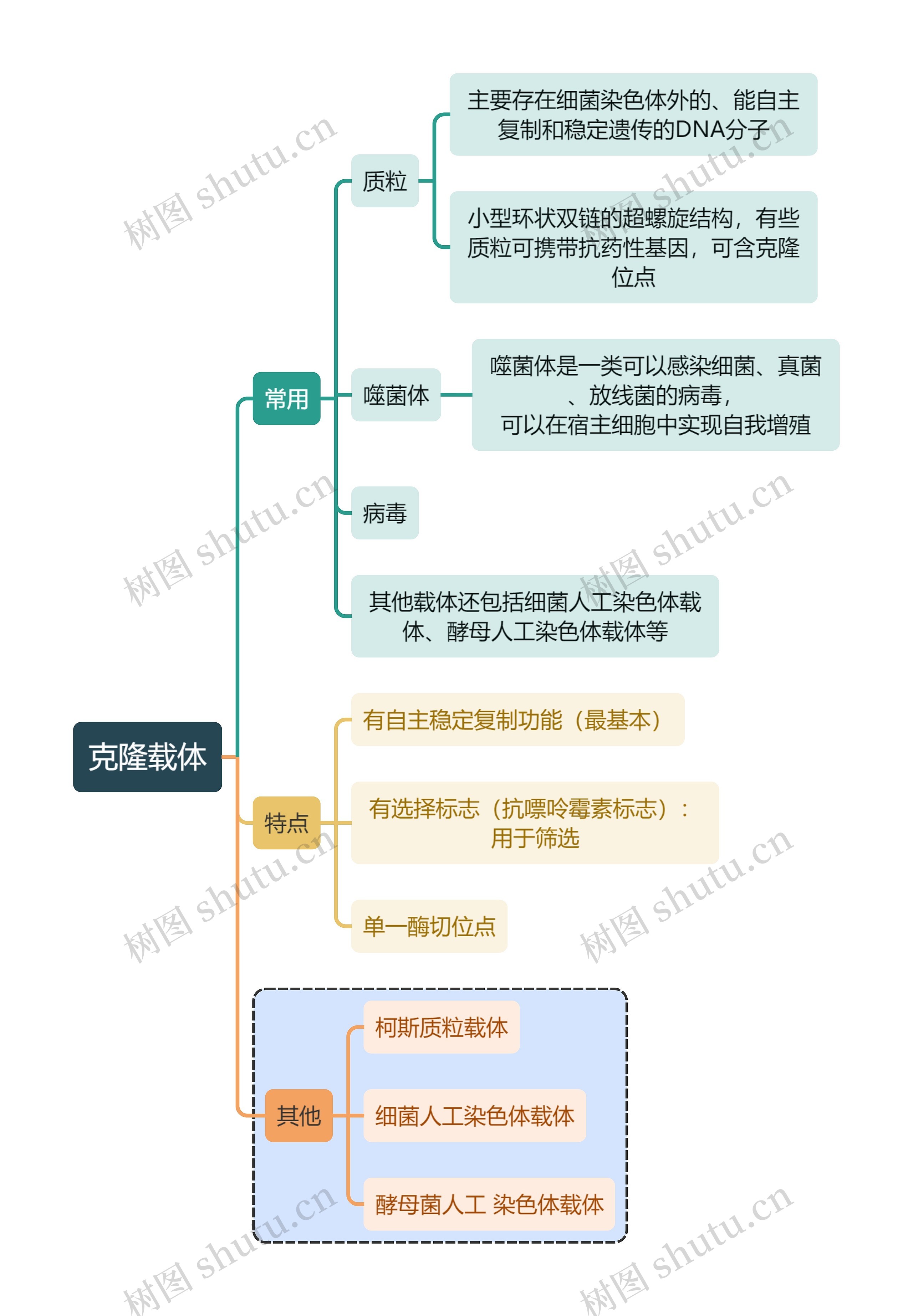 医学知识克隆载体思维导图