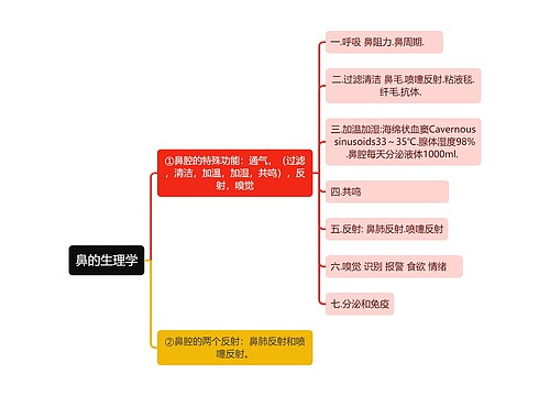 医学知识鼻的生理学思维导图