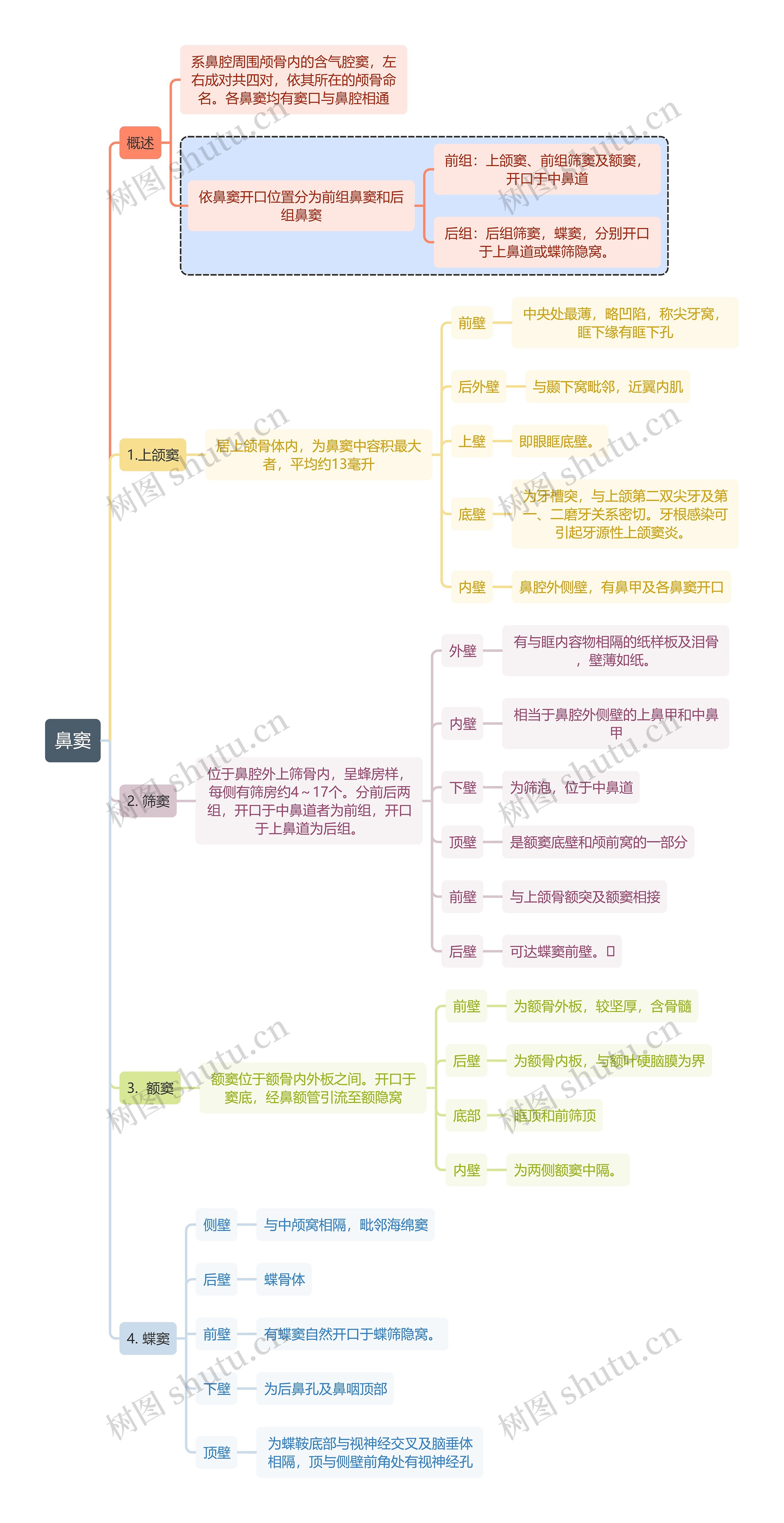 医学知识鼻窦思维导图