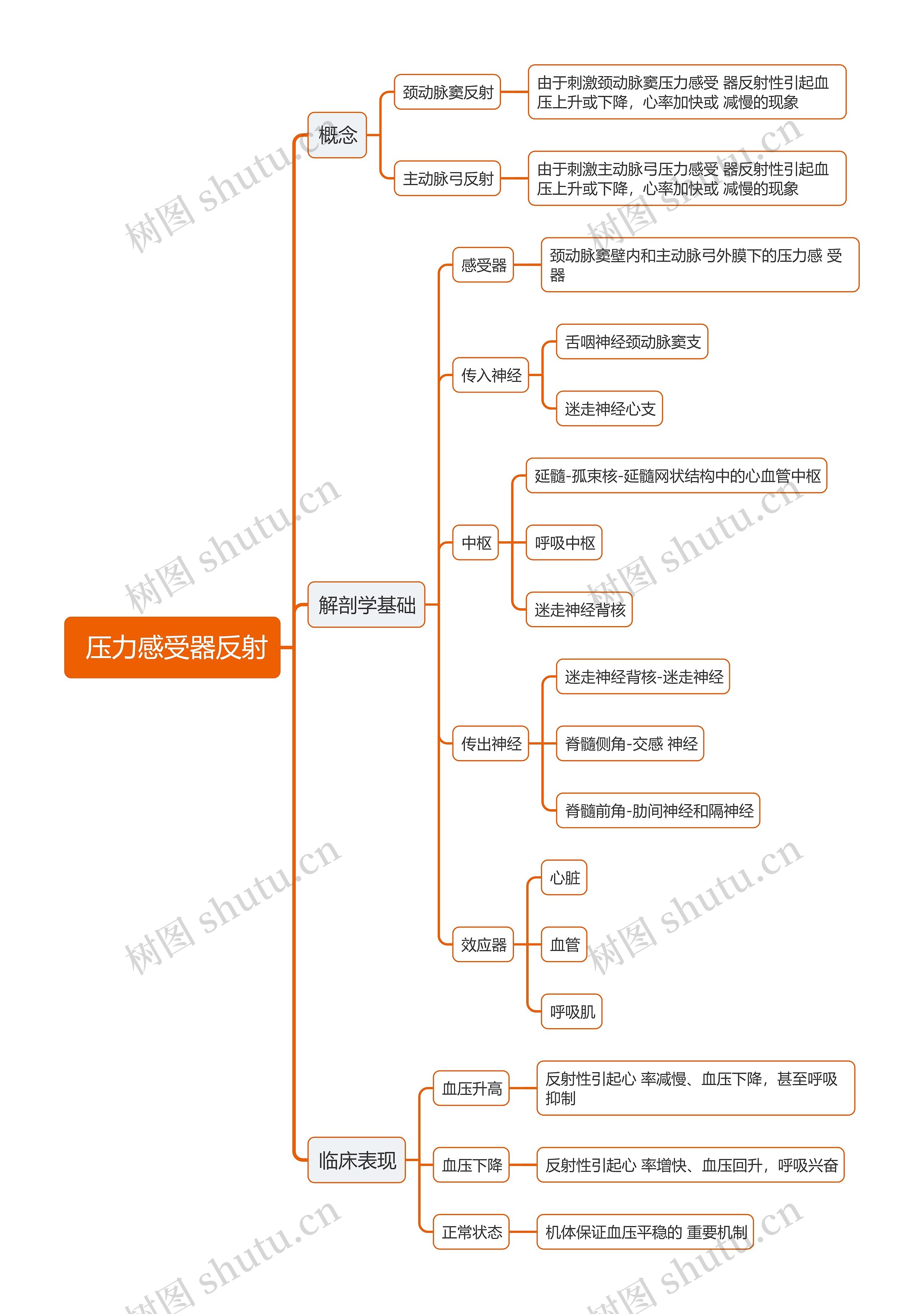  医学压力感受器反射思维导图