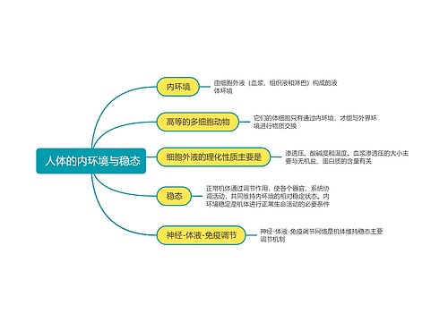 高中生物必修三人体的内环境与稳态思维导图