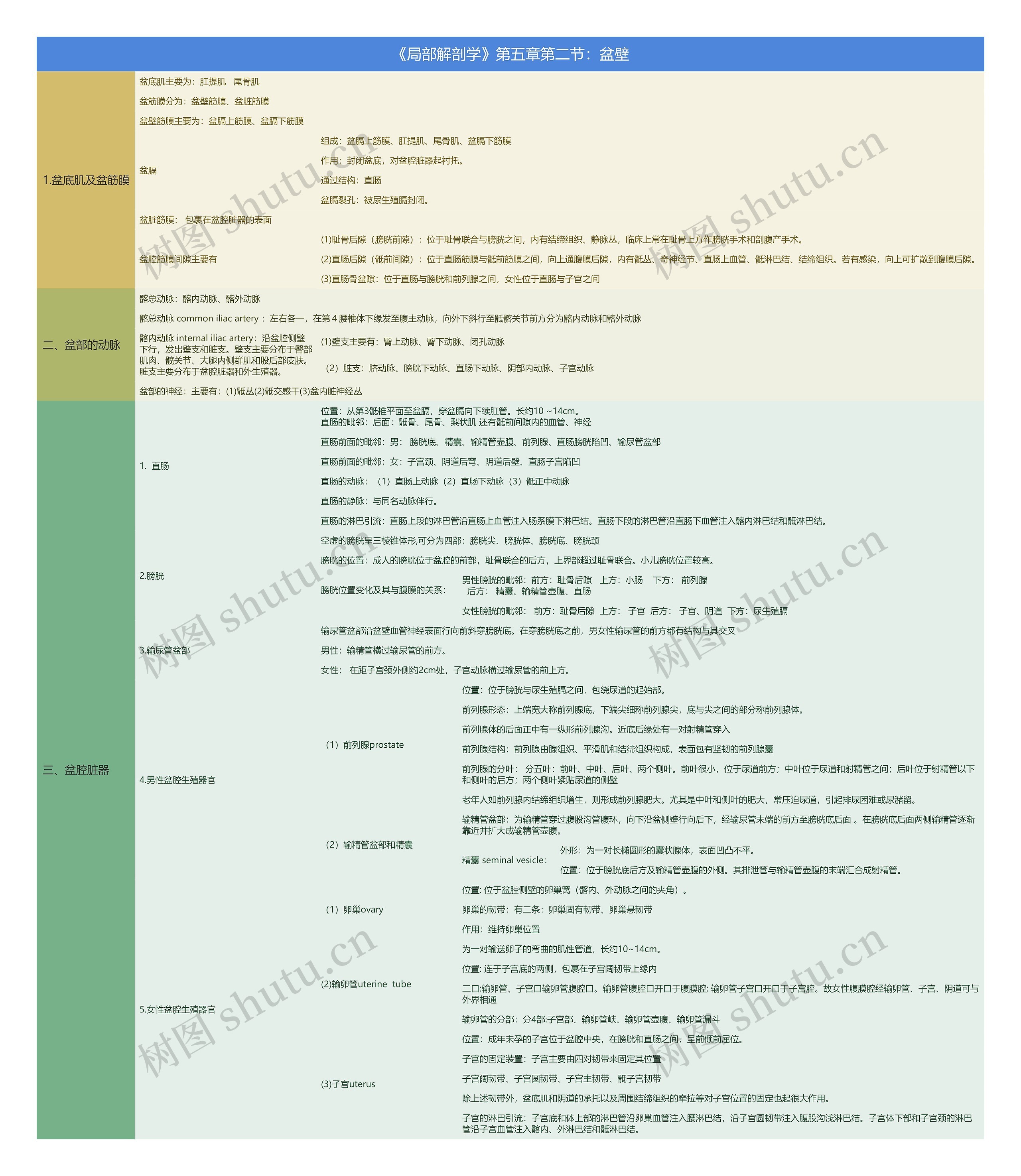 《局部解剖学》第五章第二节：盆壁思维导图