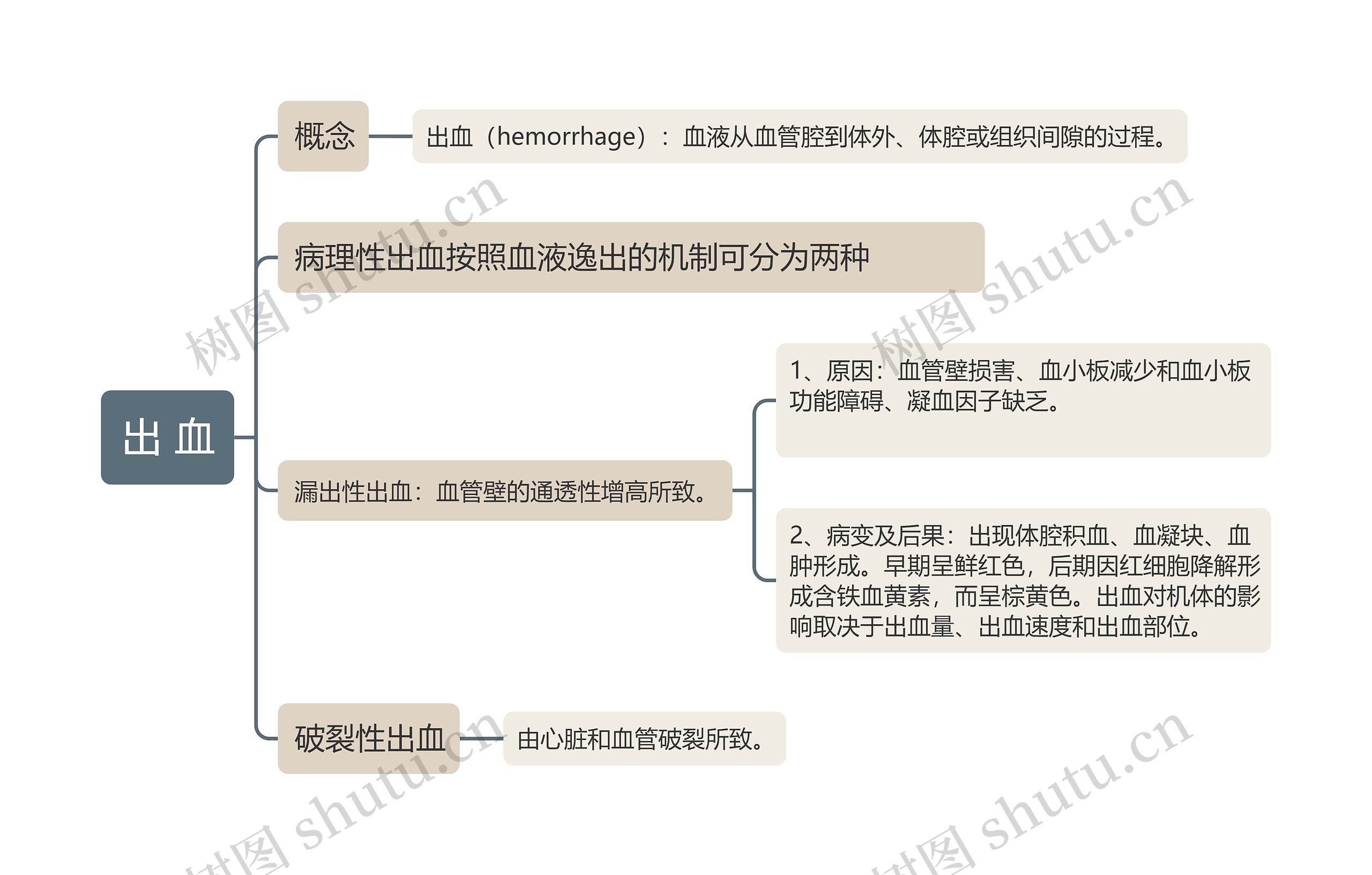 出血的思维导图