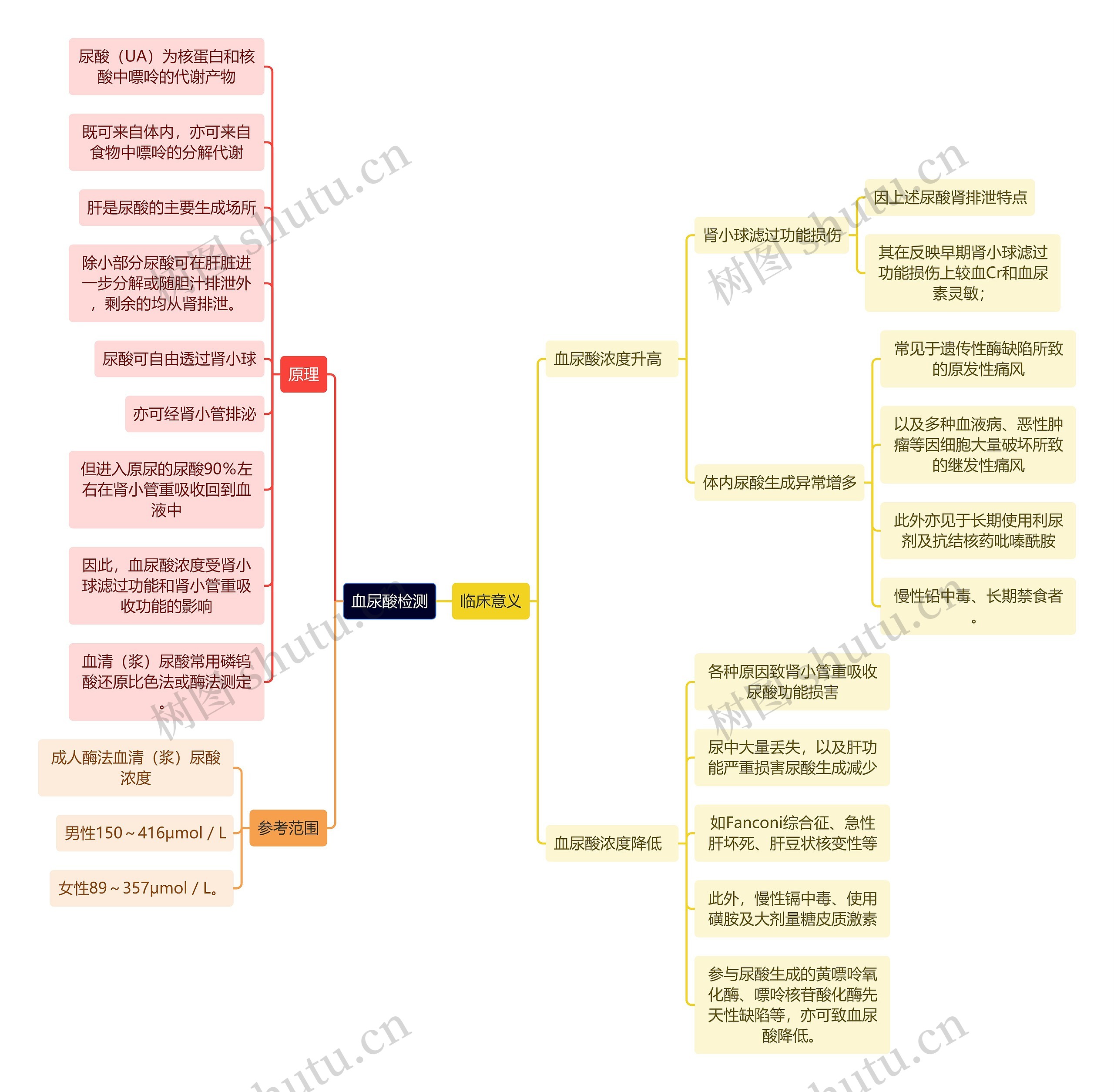 医学知识血尿酸检测思维导图