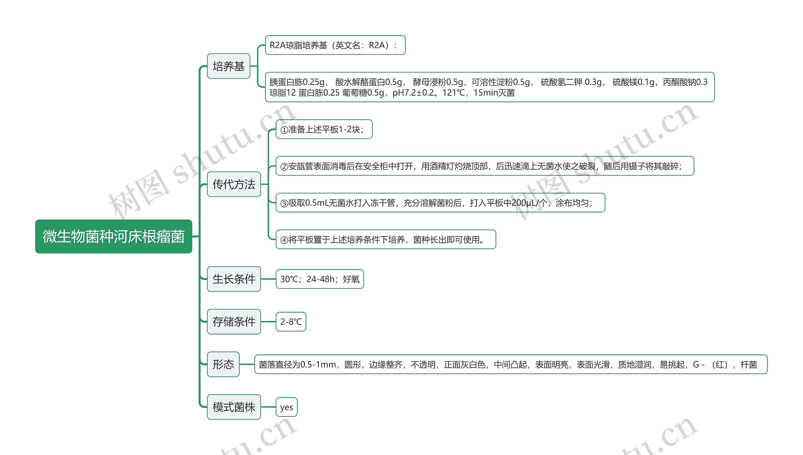 微生物菌种河床根瘤菌思维导图高清图 微生物菌种河床根瘤菌思维导图