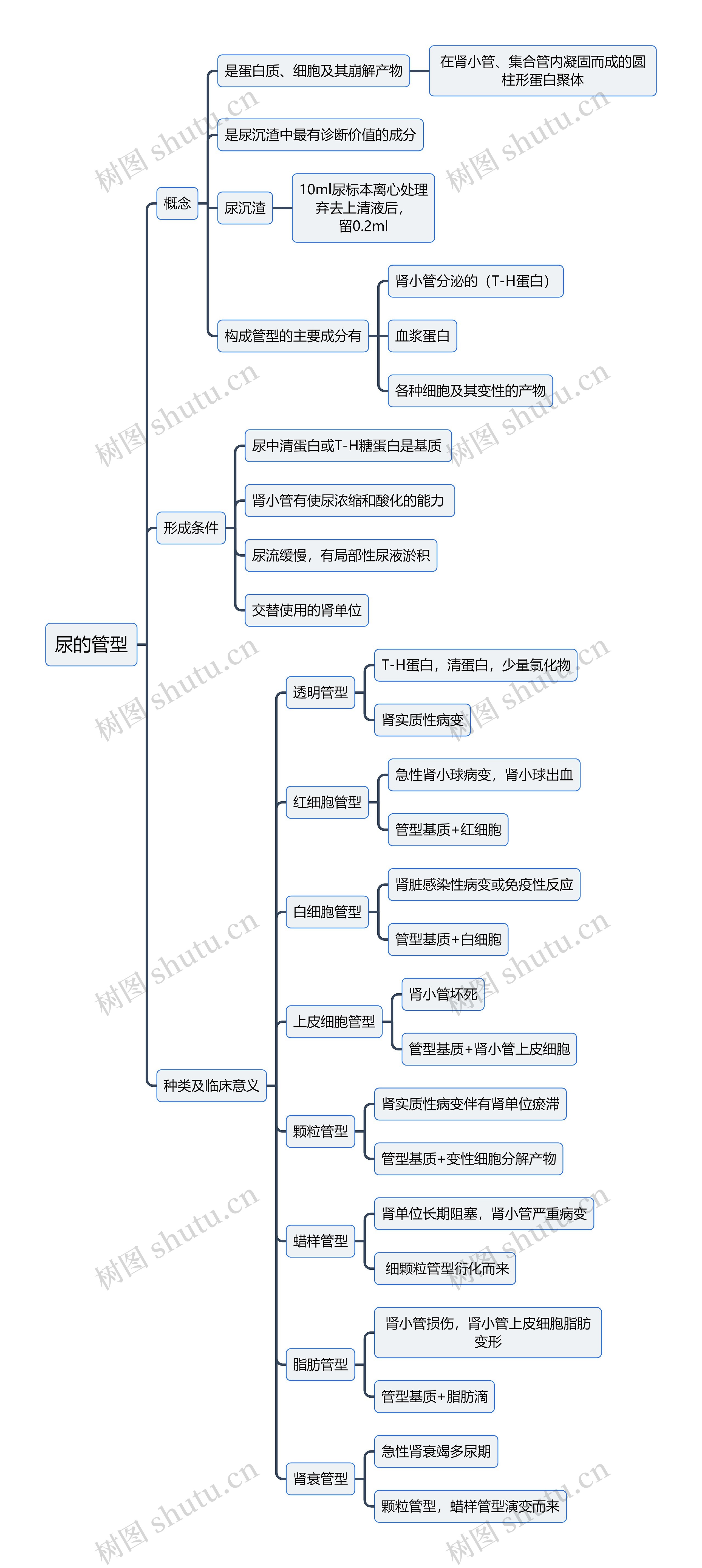 医学知识尿的管型思维导图