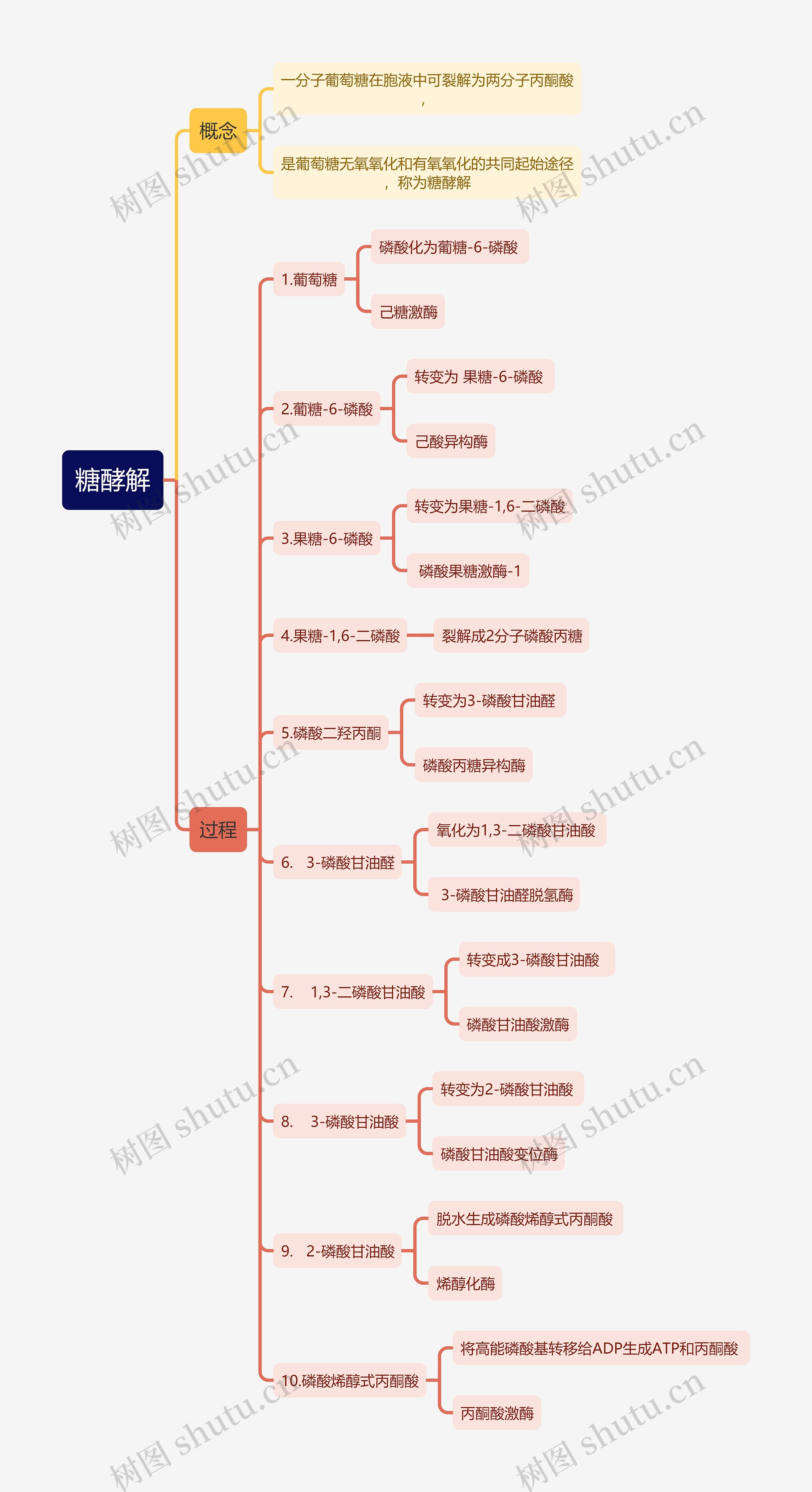生化知识糖酵解思维导图