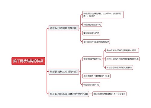 医学知识脑干网状结构的特征思维导图