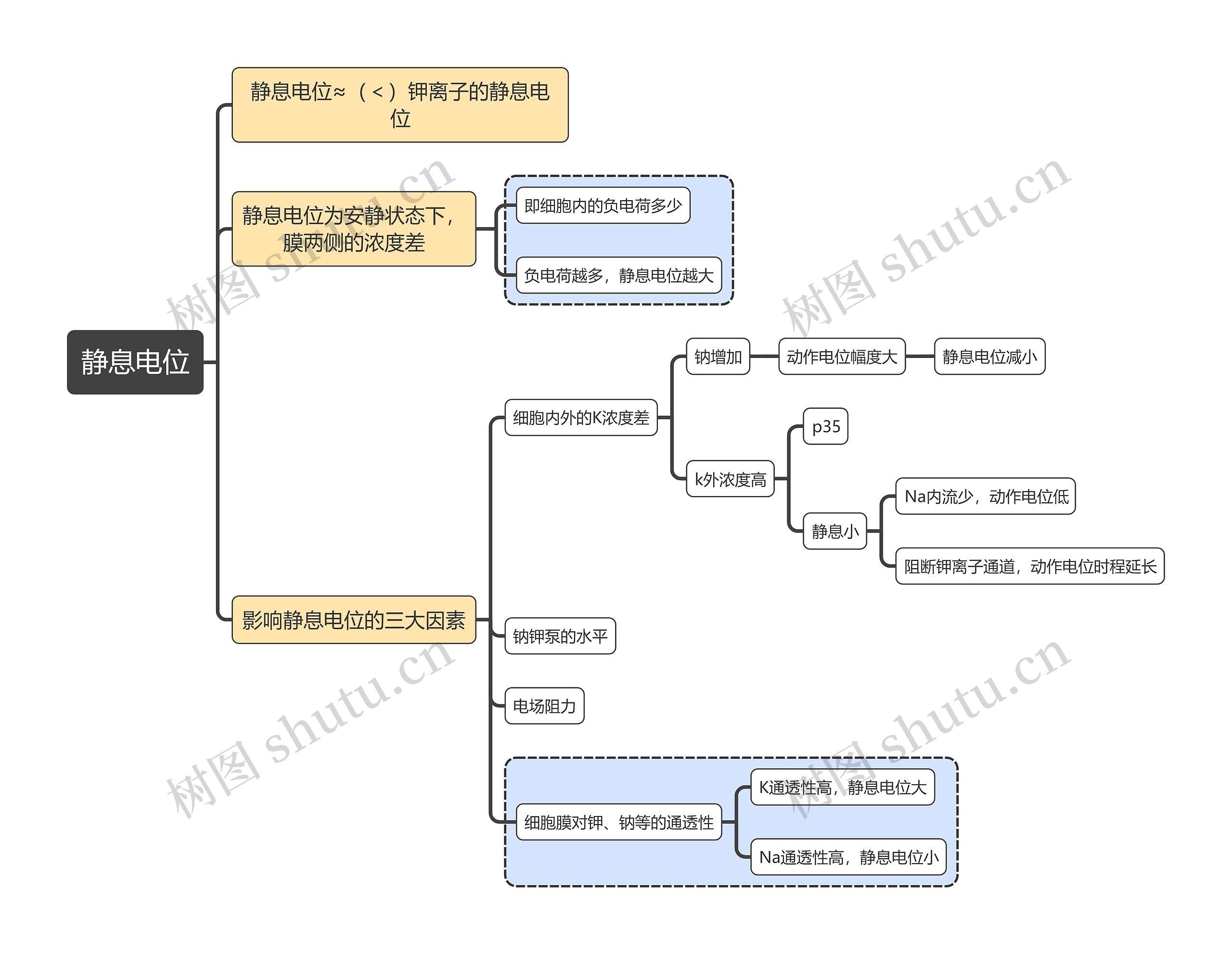 医学知识静息电位思维导图