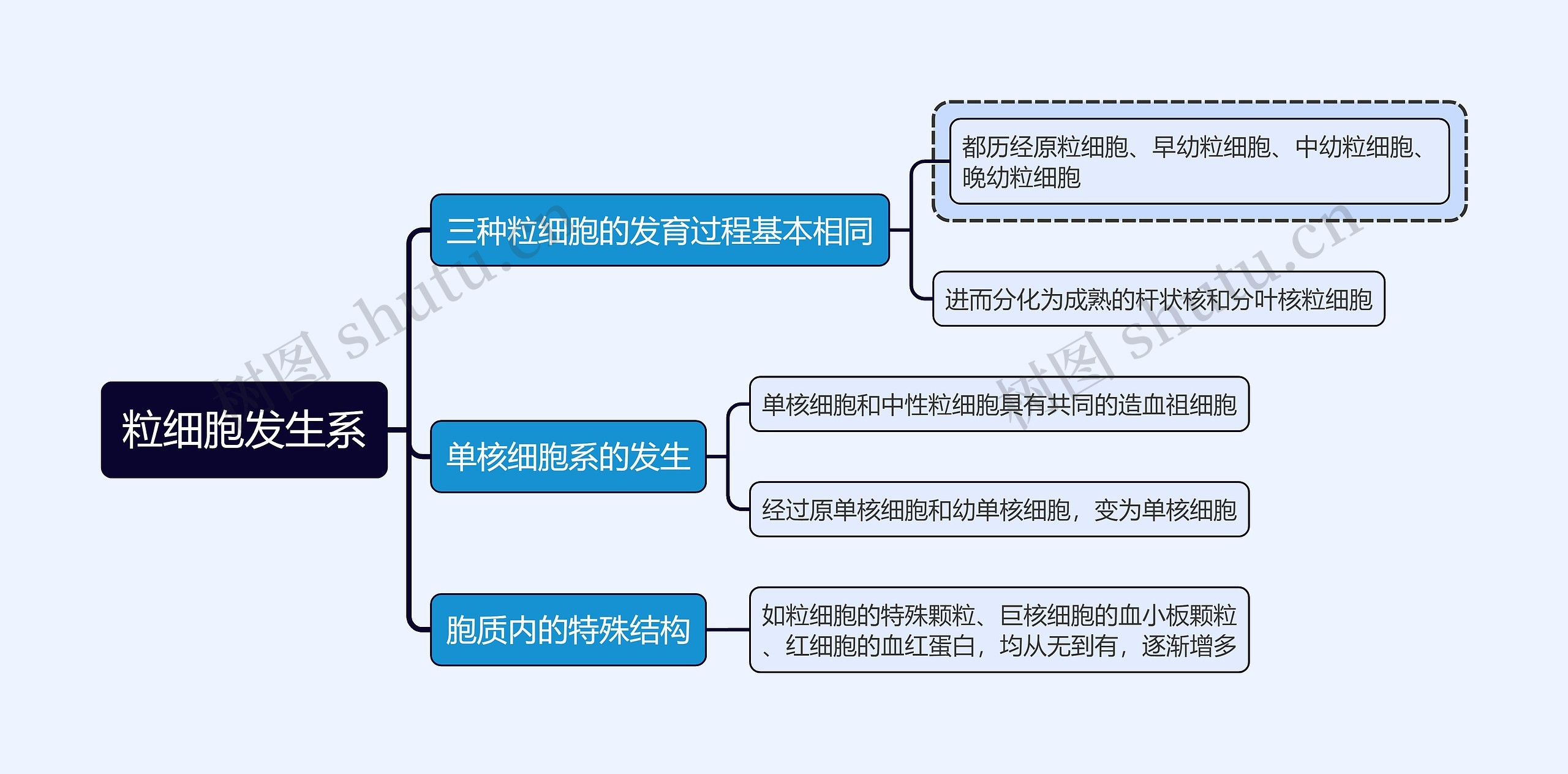 医学知识粒细胞发生系思维导图