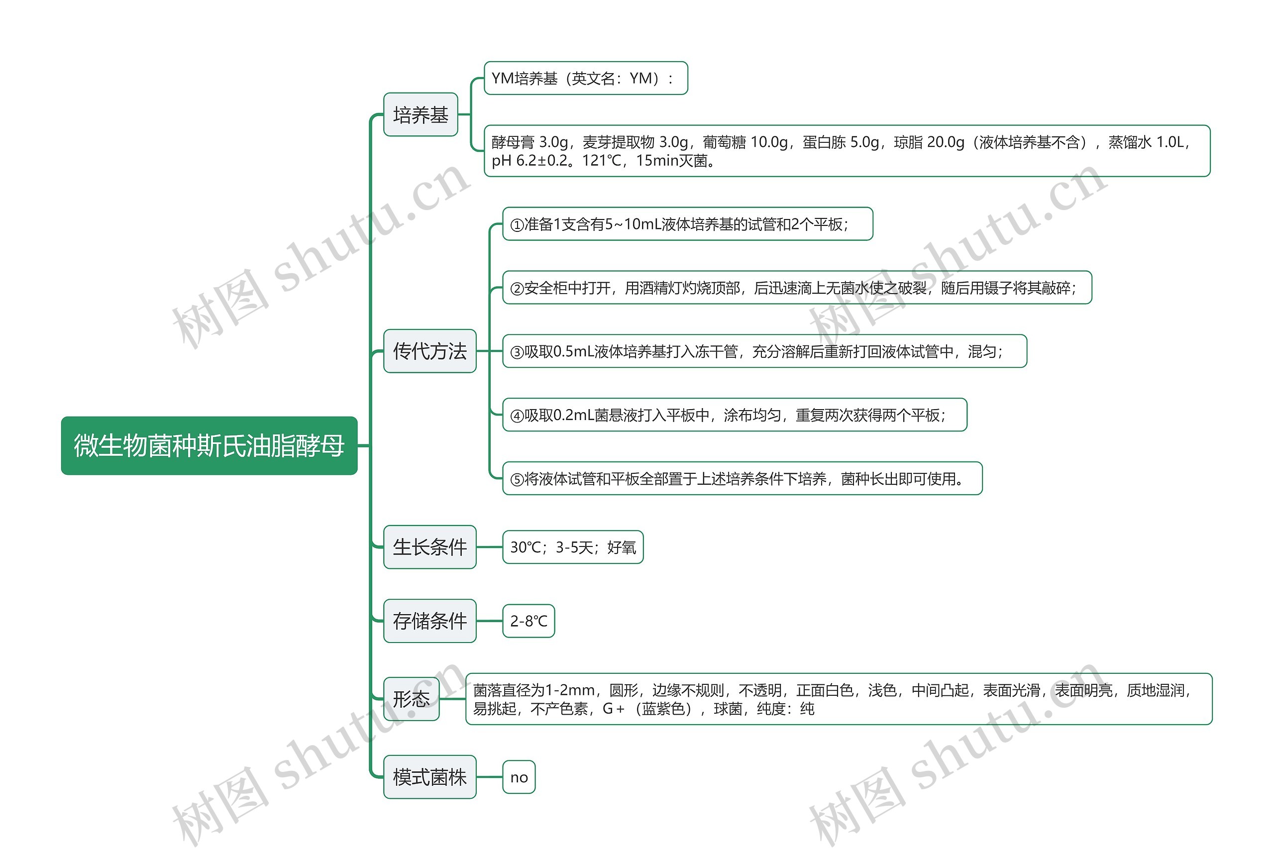 微生物菌种斯氏油脂酵母思维导图