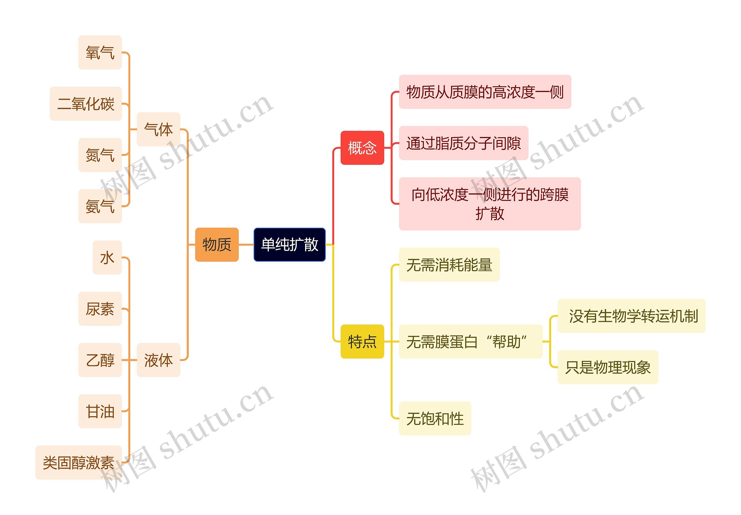 医学知识单纯扩散思维导图