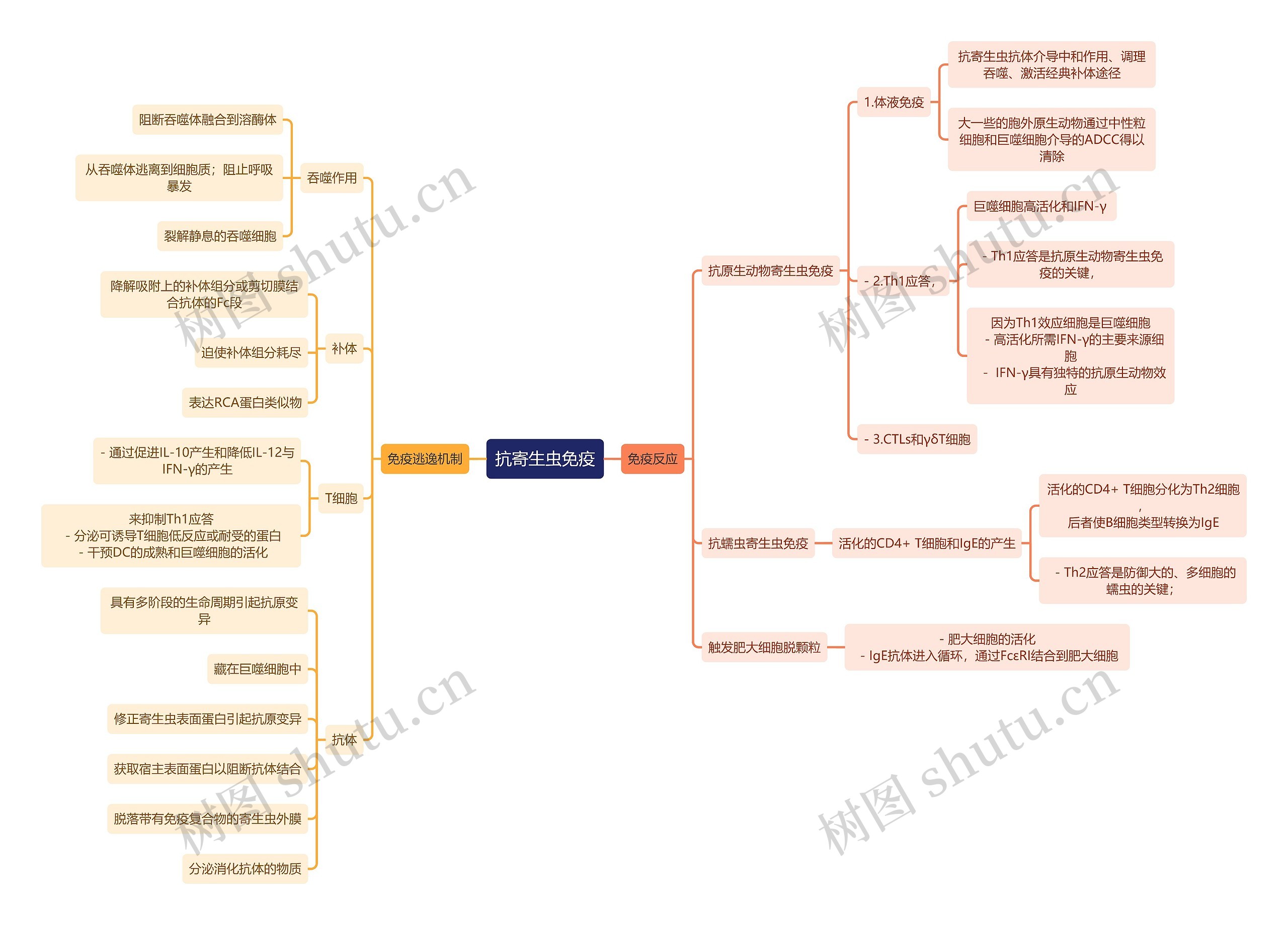 医学知识抗寄生虫免疫思维导图