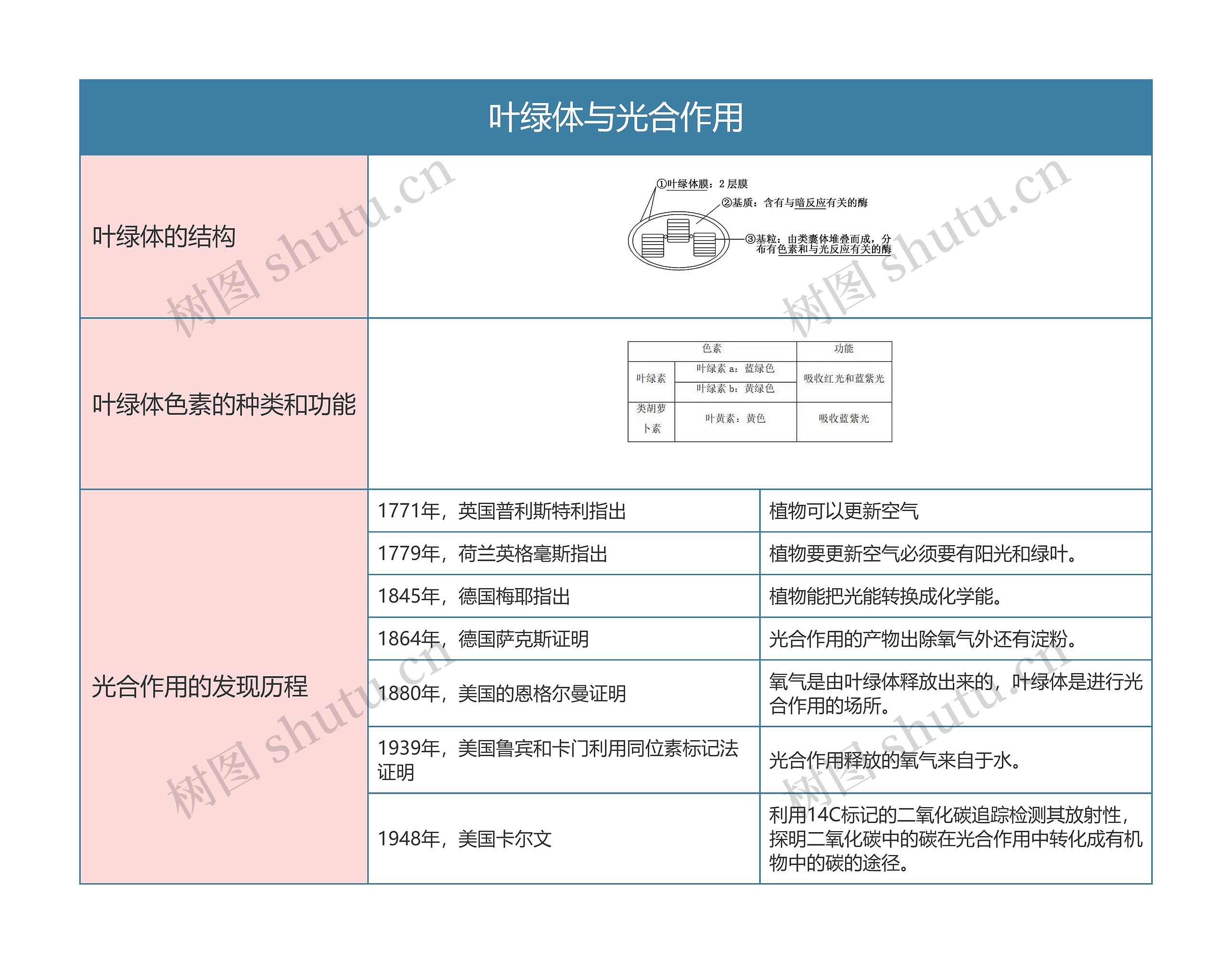 高中生物必修一叶绿体与光合作用思维导图