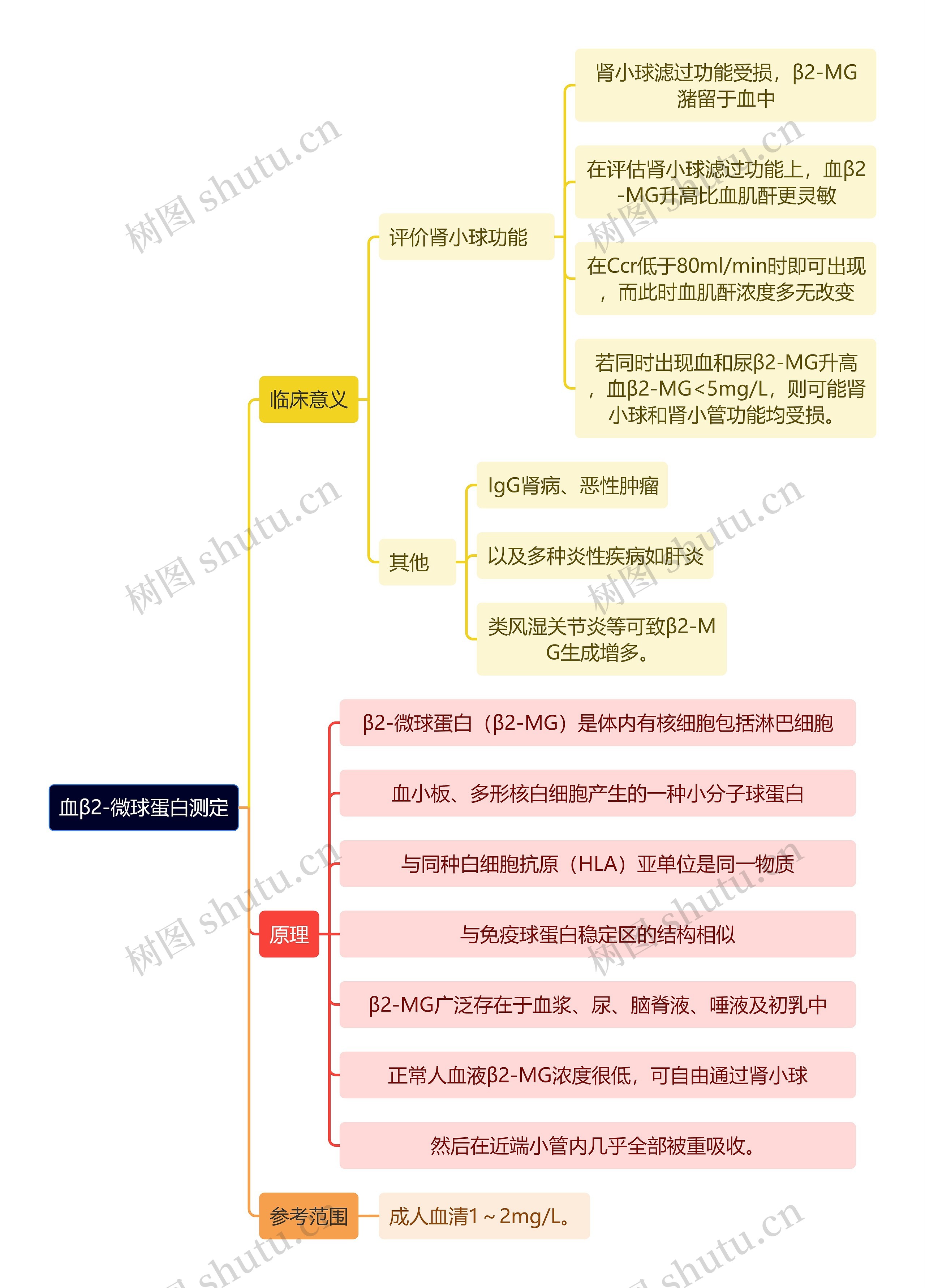 医学知识血β2-微球蛋白测定思维导图