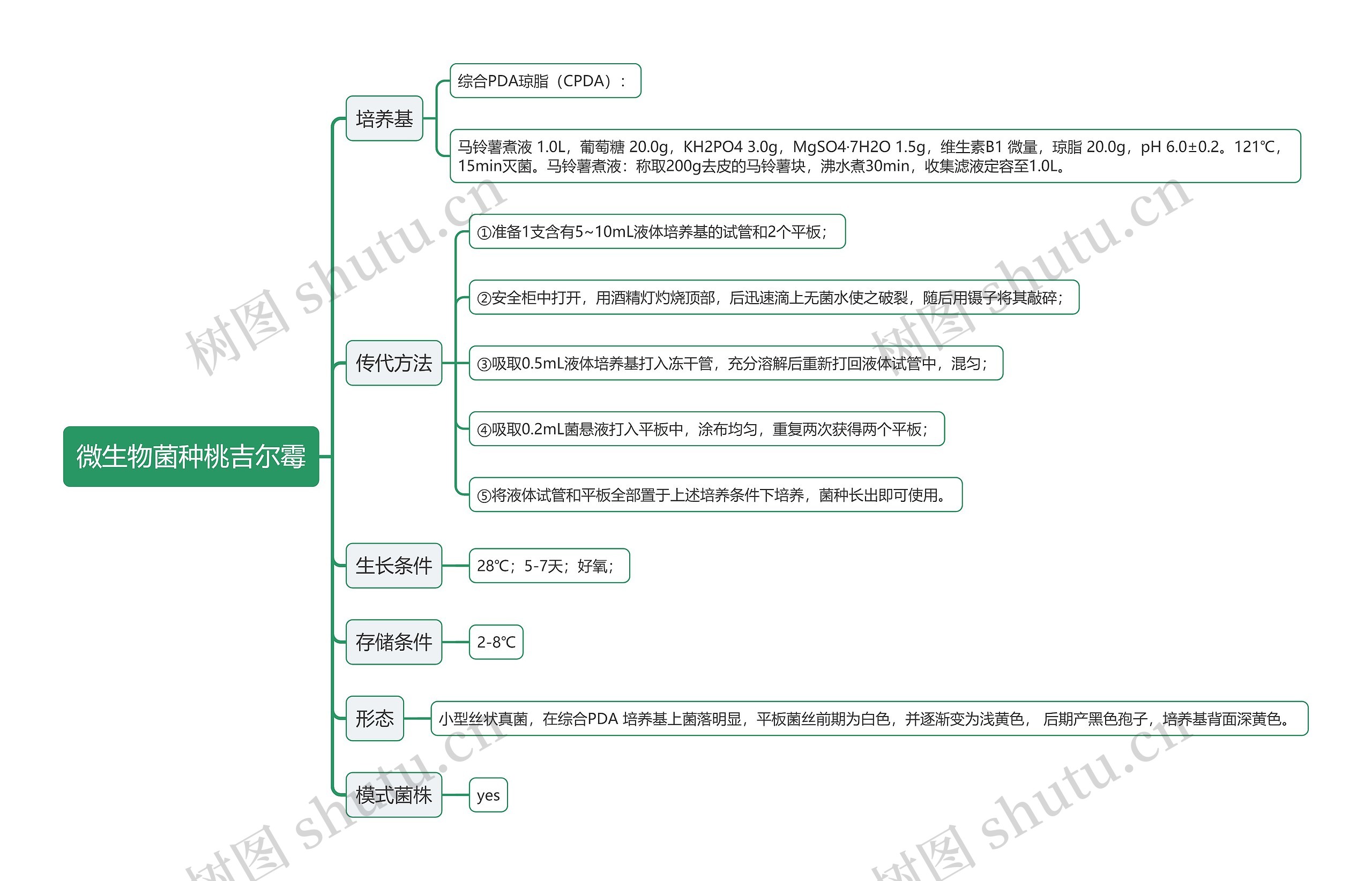 微生物菌种桃吉尔霉思维导图