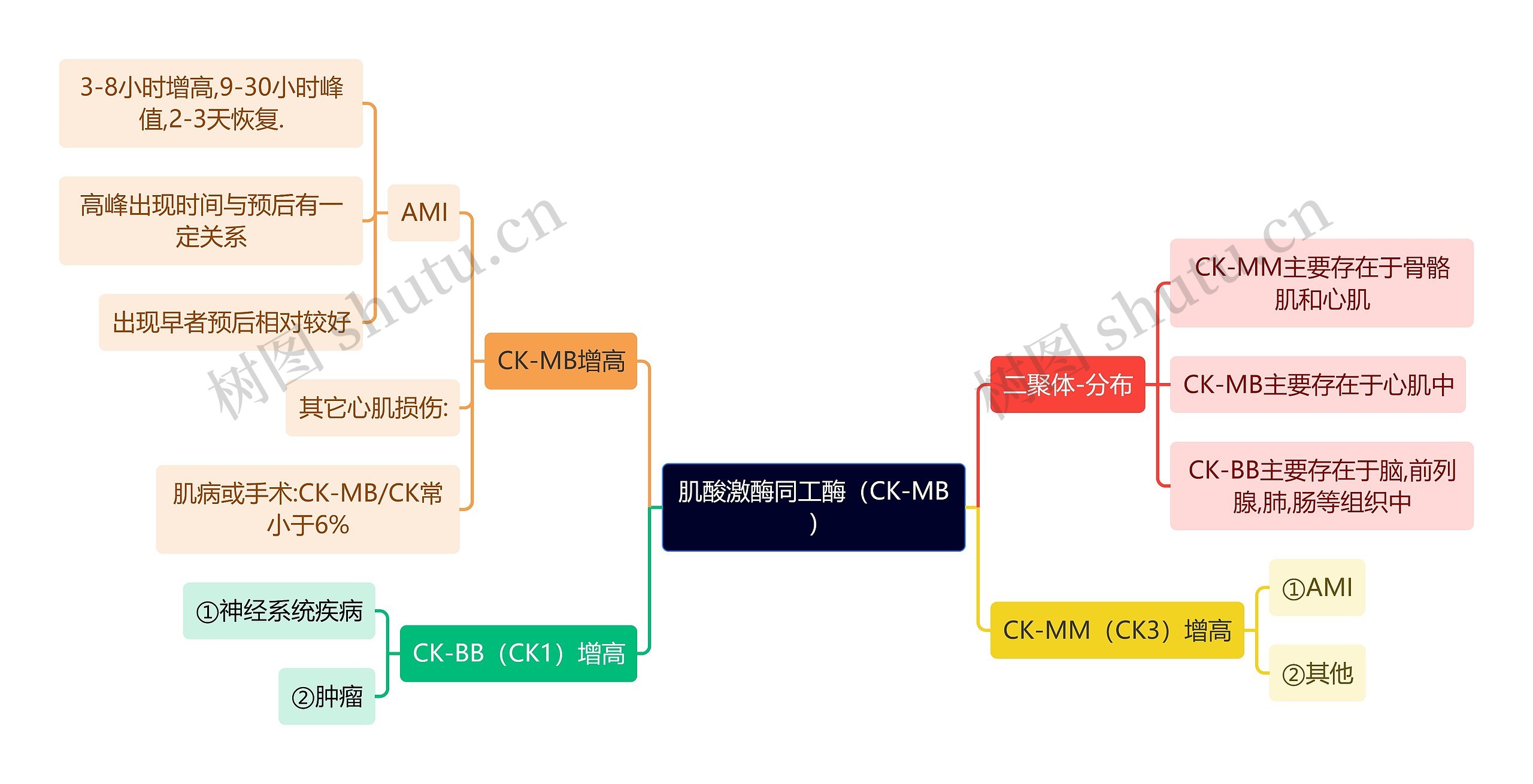 医学知识肌酸激酶同工酶（CK-MB)思维导图