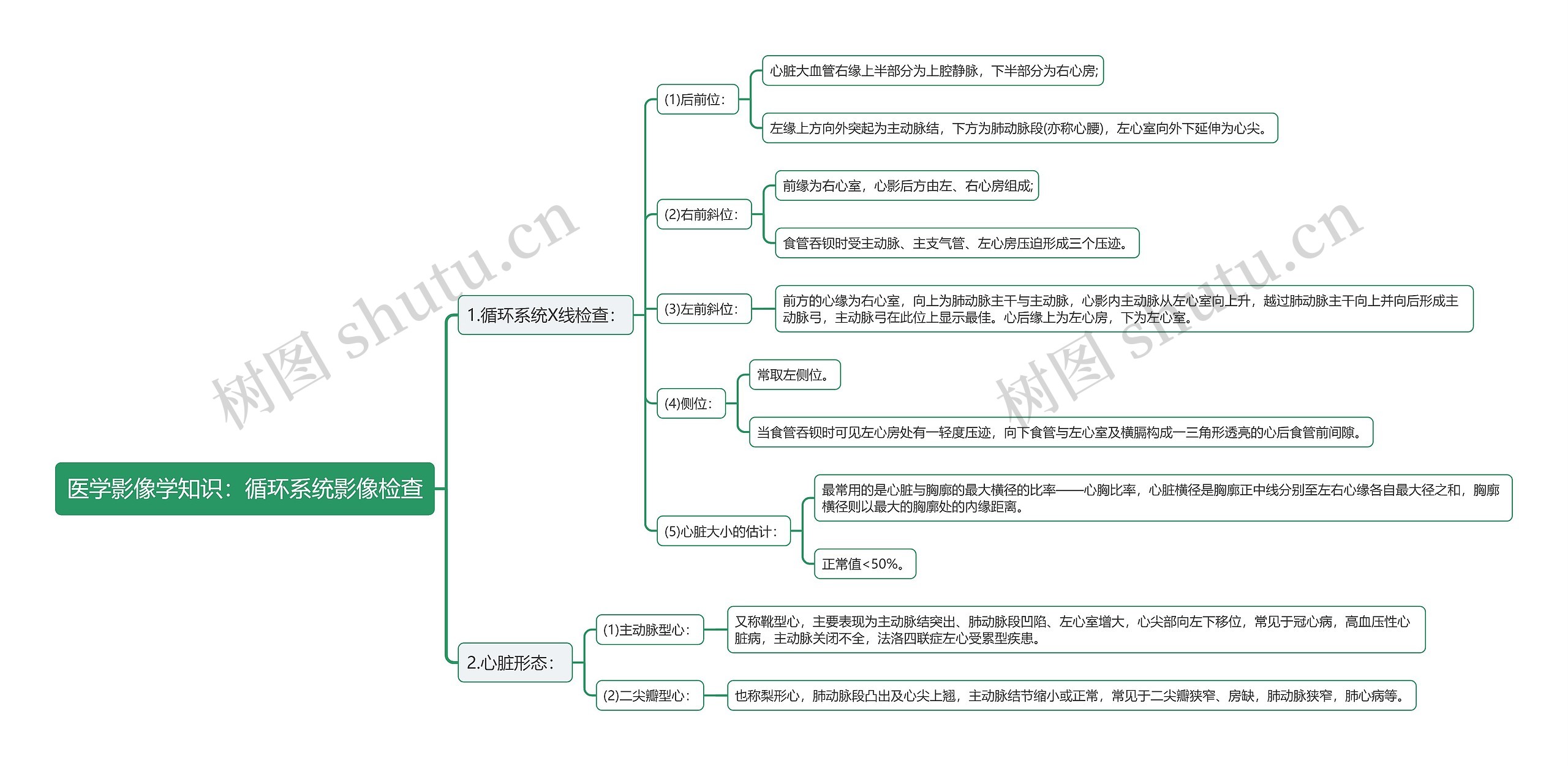 医学影像学知识：循环系统影像检查思维导图