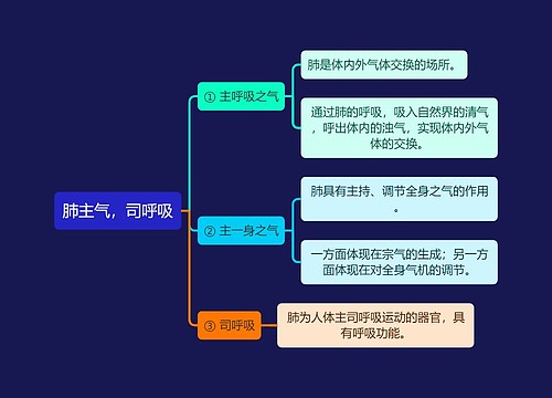 中医知识肺主气，司呼吸思维导图