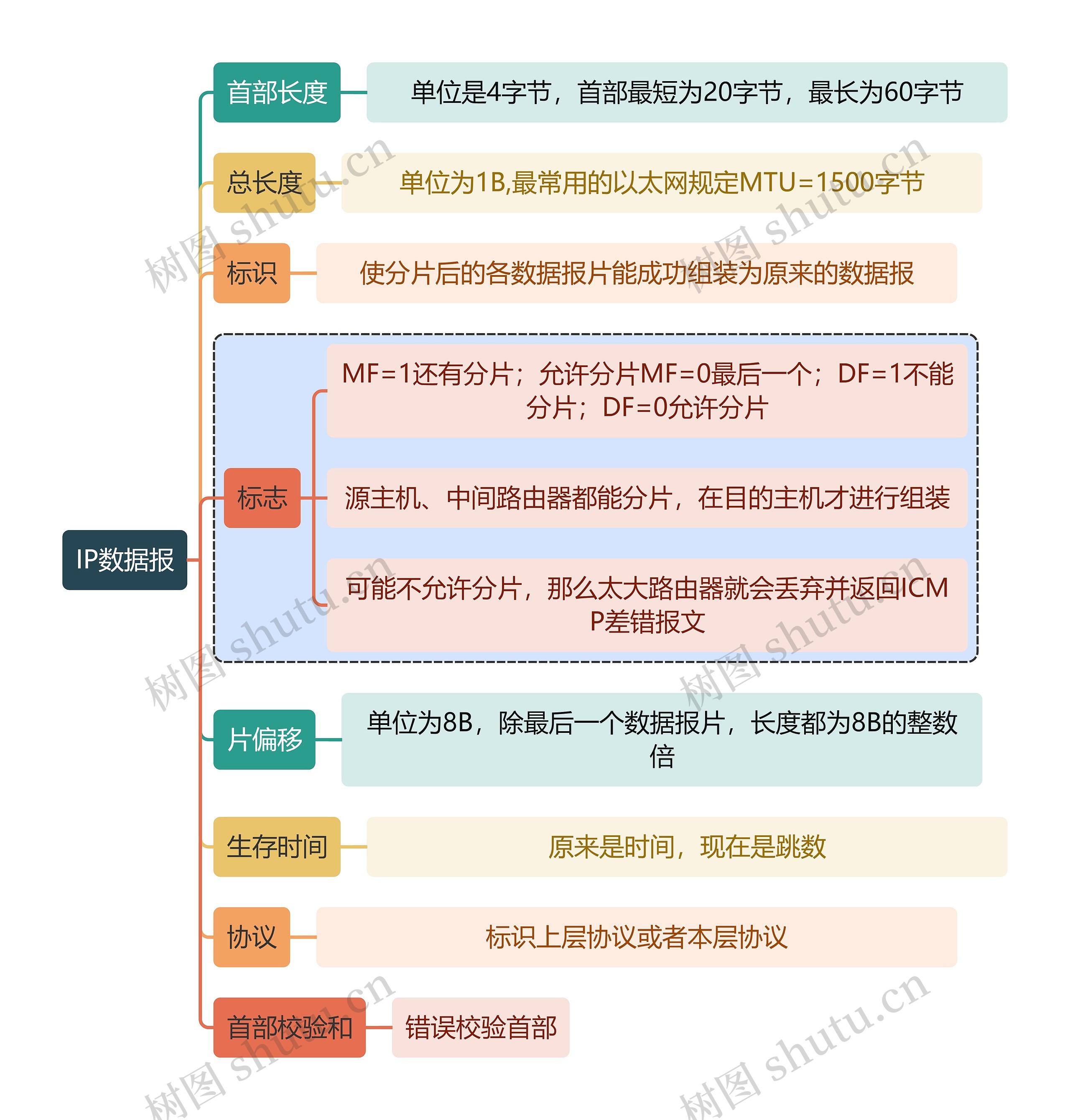 计算机知识IP数据报思维导图