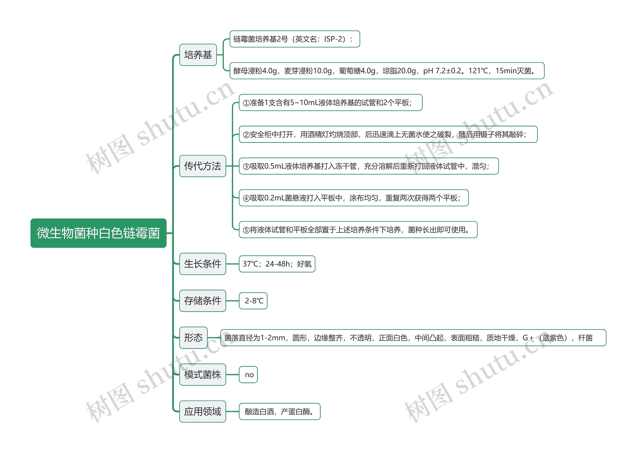 微生物菌种白色链霉菌思维导图