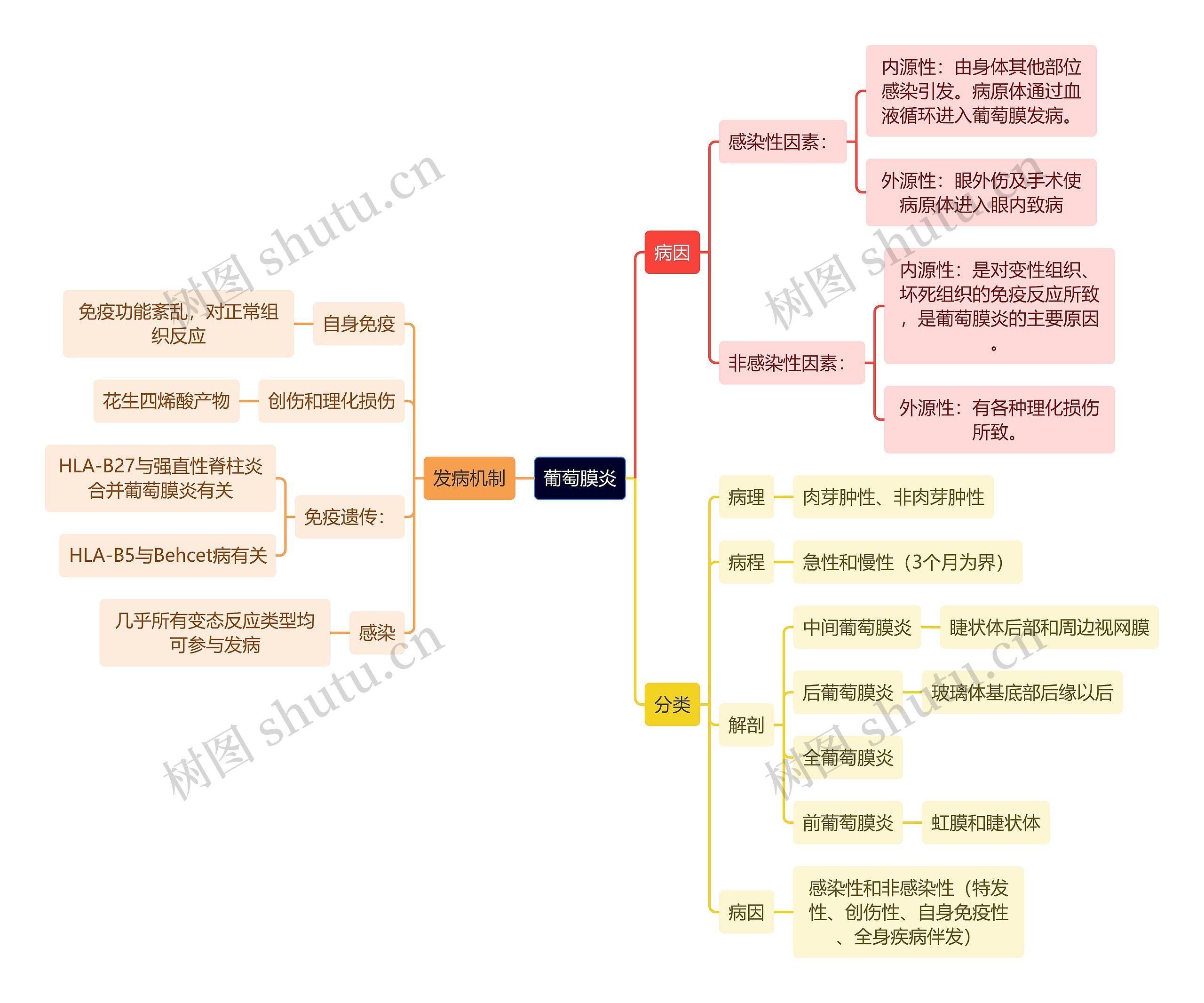 医学知识葡萄膜炎思维导图