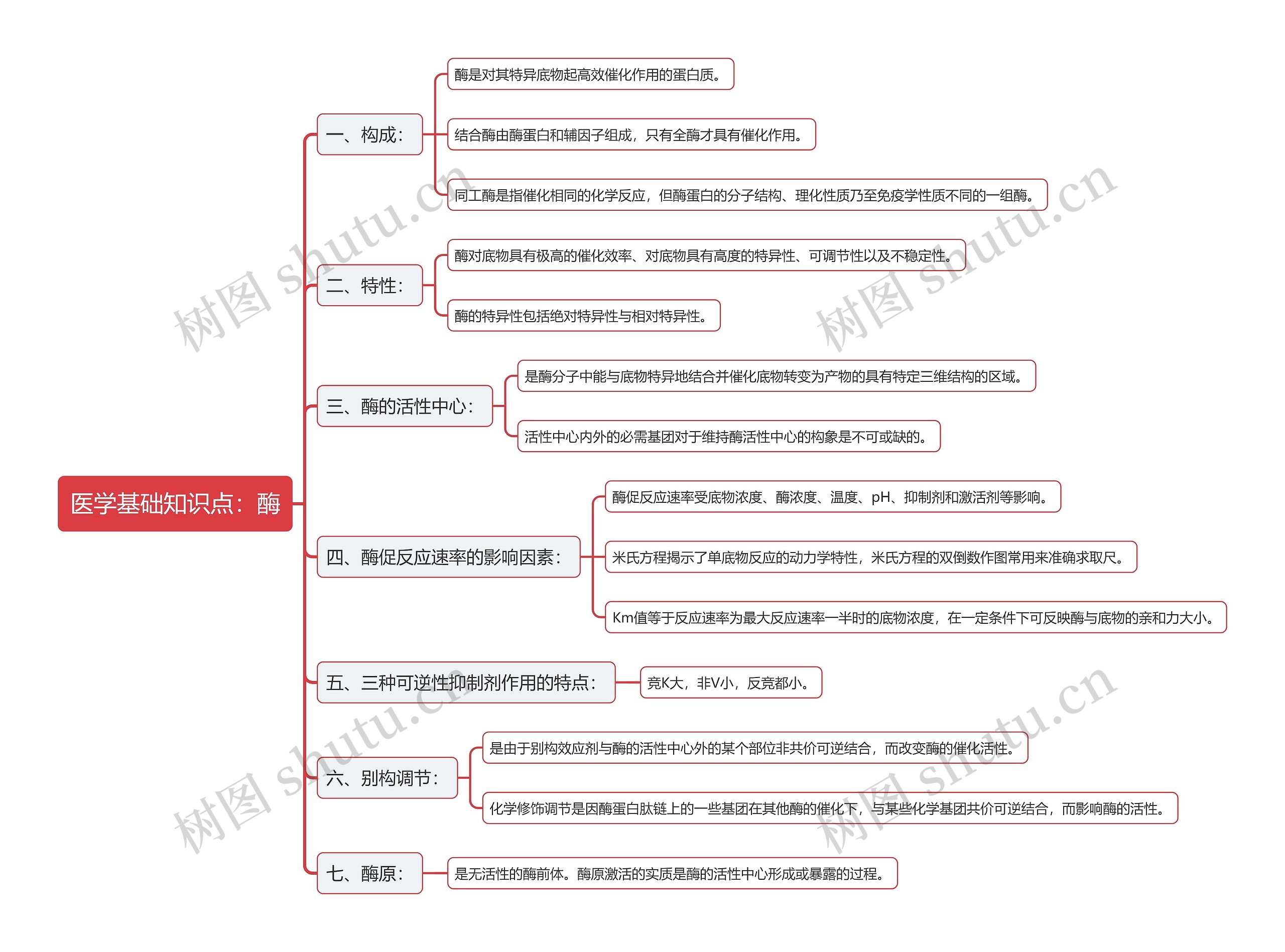医学基础知识点：酶思维导图