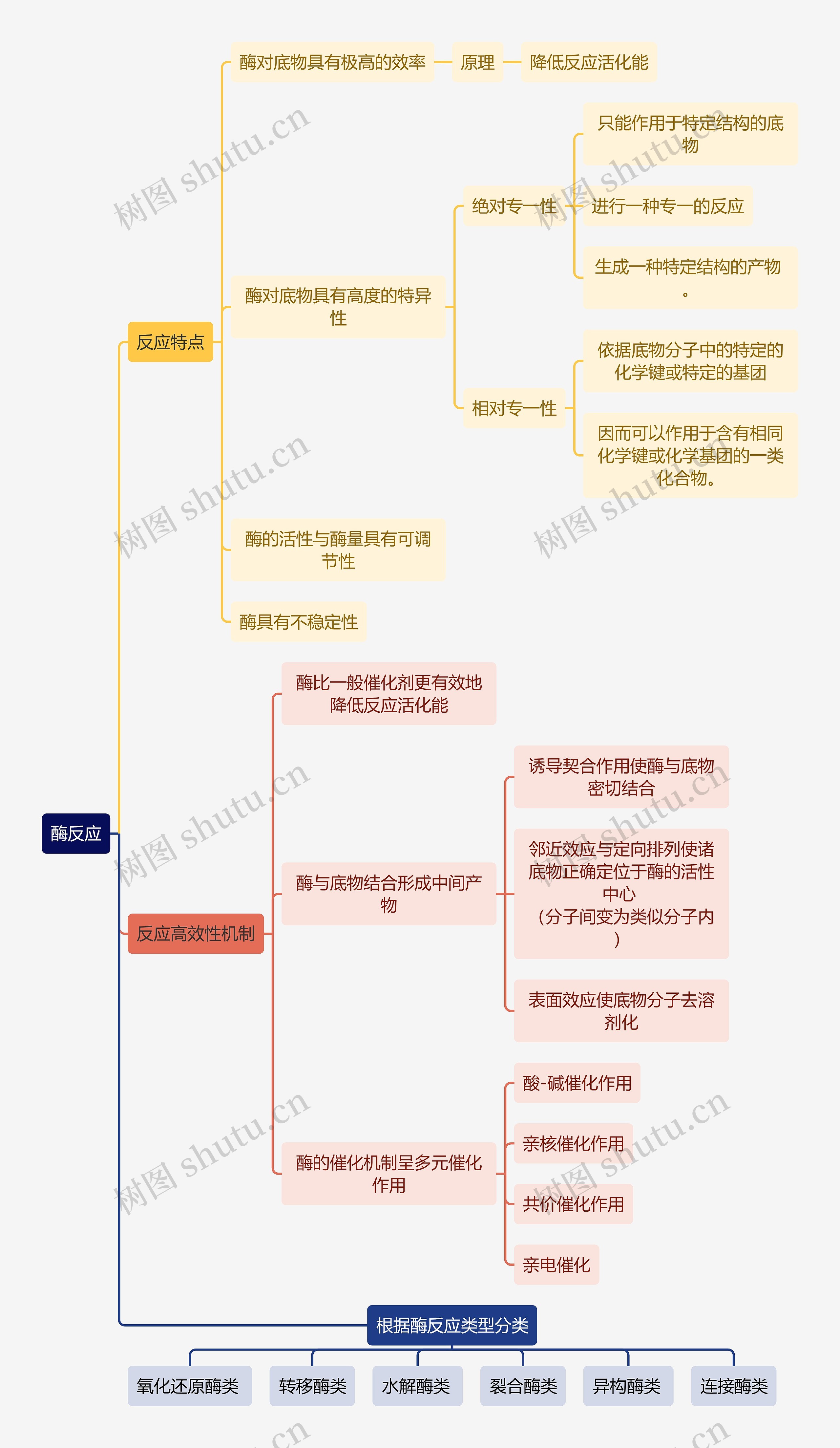 生化知识酶反应思维导图