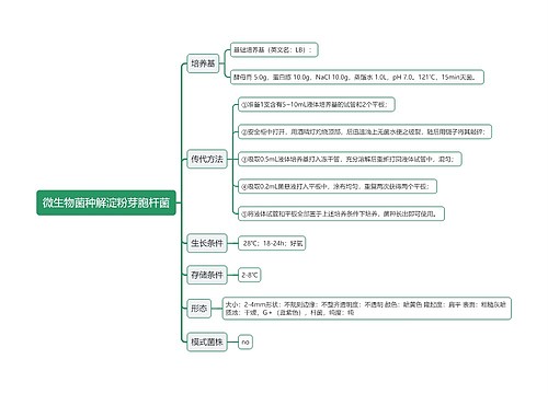微生物菌种解淀粉芽胞杆菌思维导图