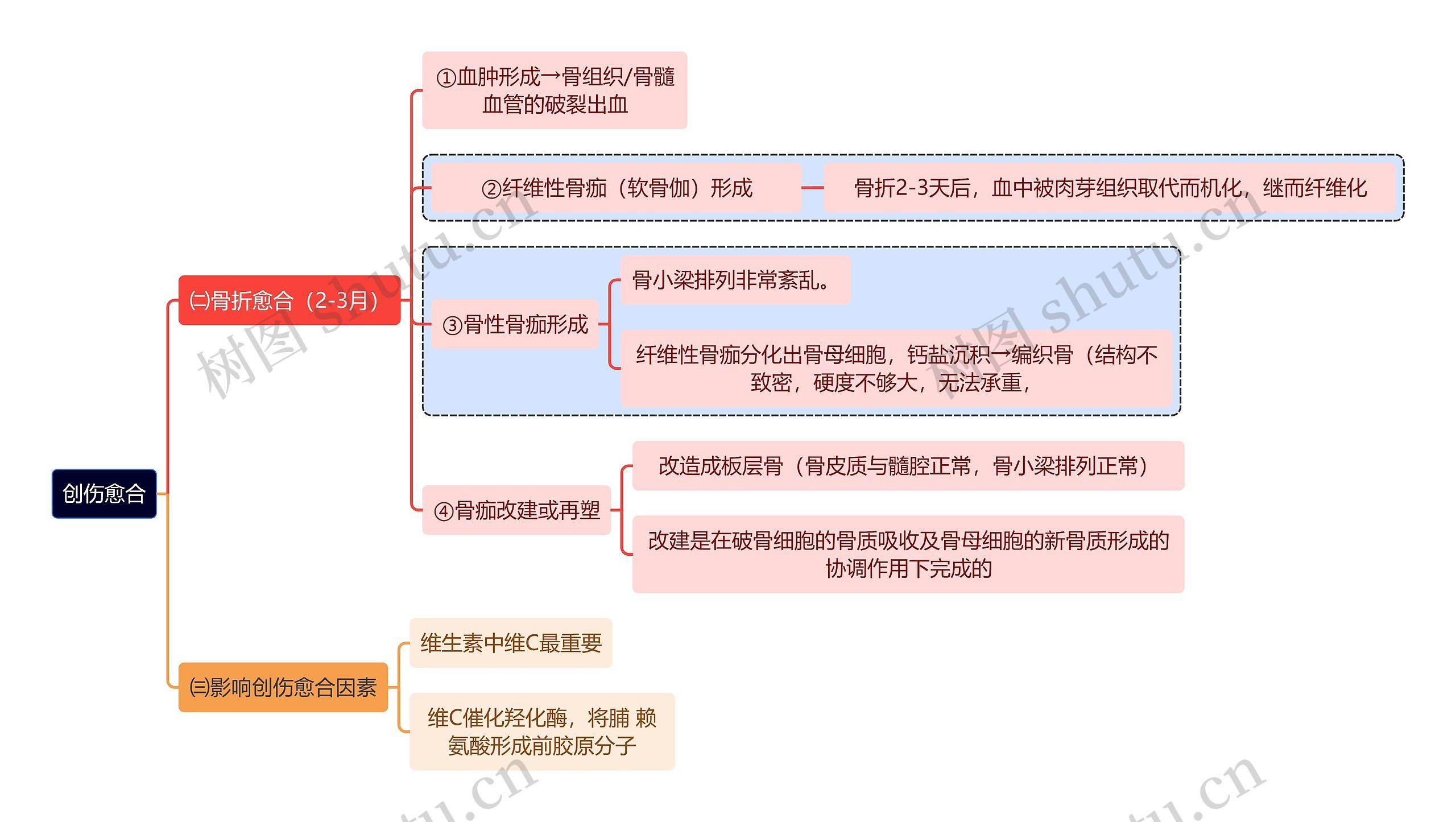 医学创伤愈合思维导图