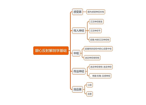 医学眼心反射解剖学基础思维导图