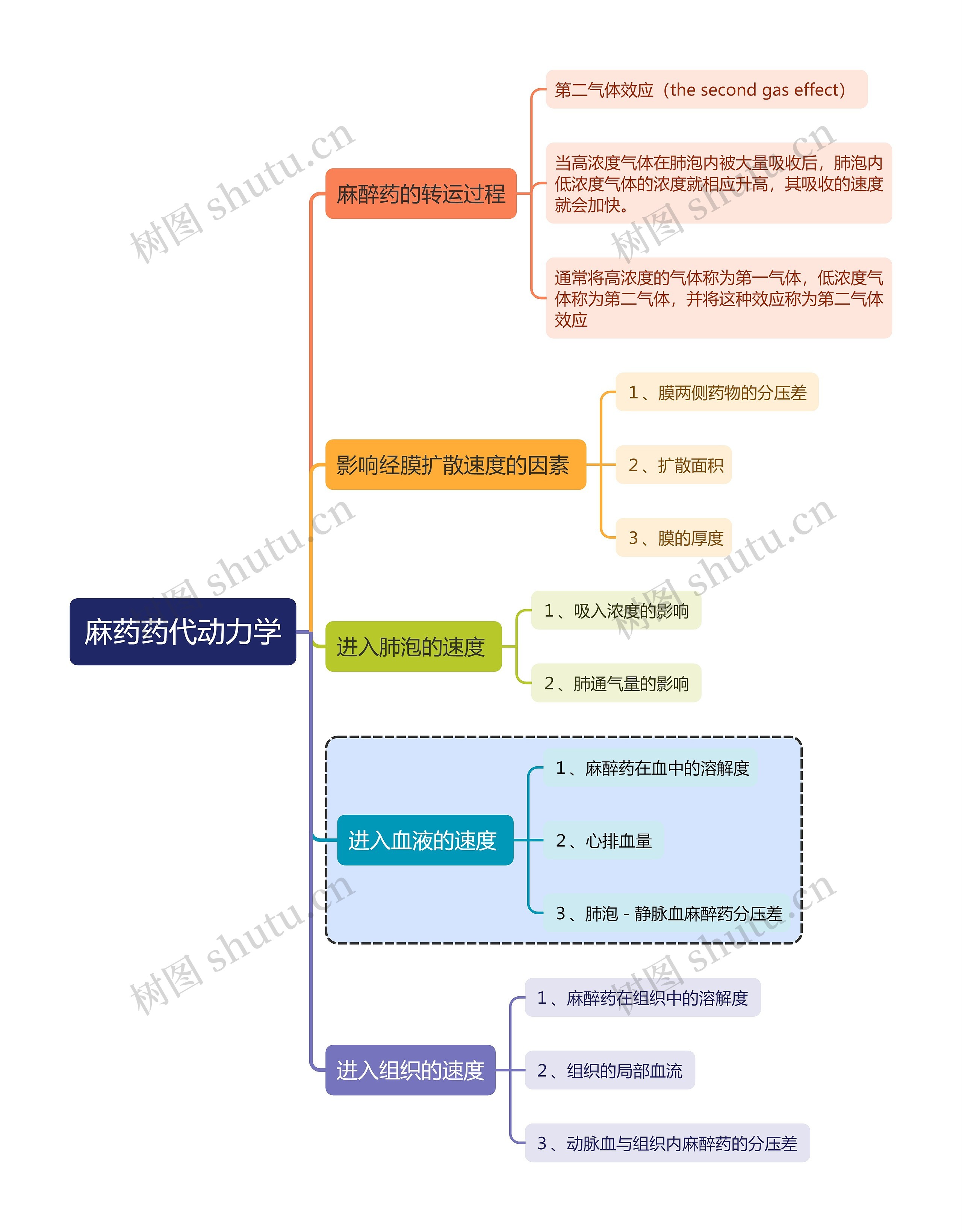 医学知识麻药药代动力学思维导图