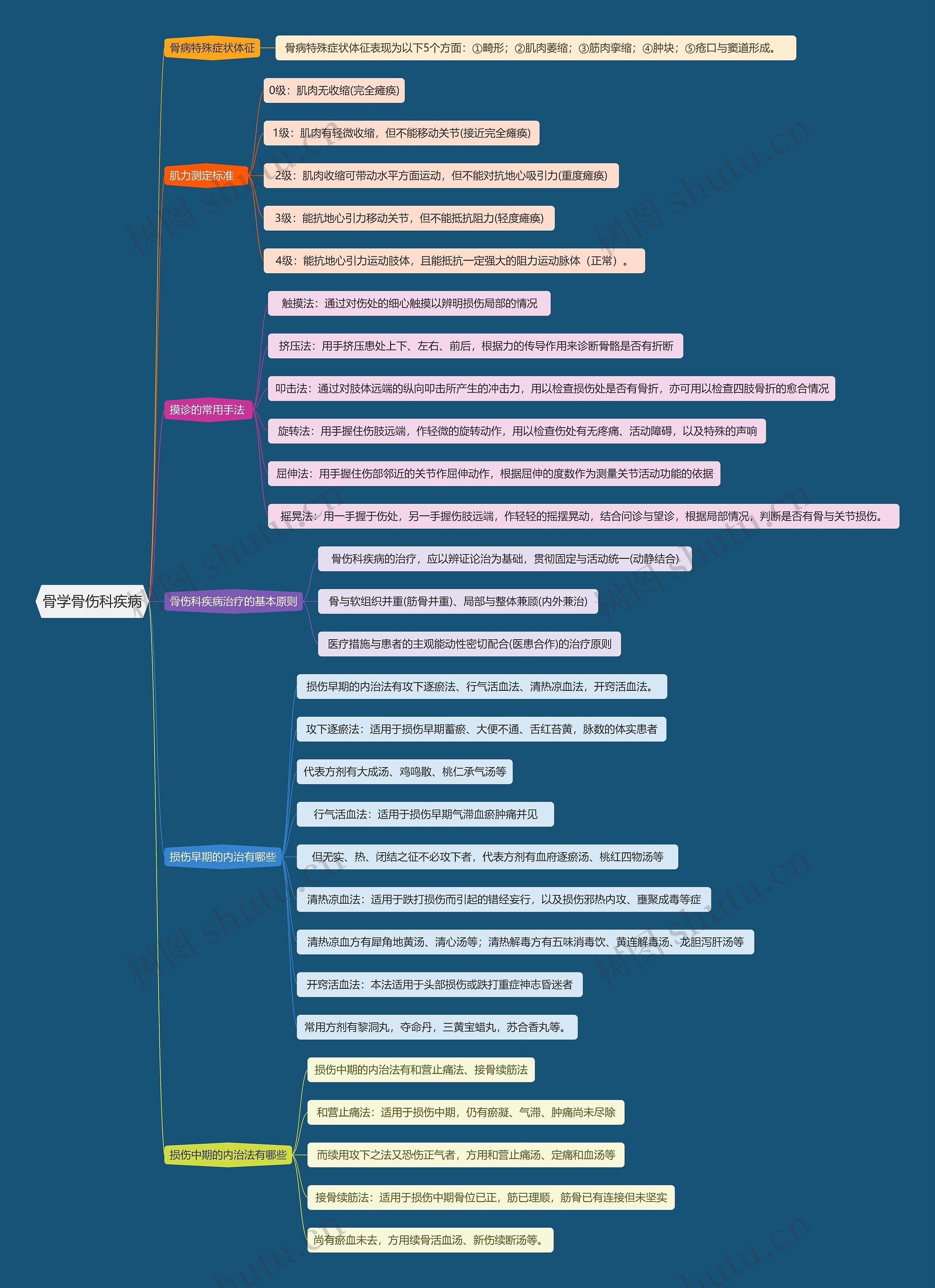 骨学骨伤科疾病思维导图
