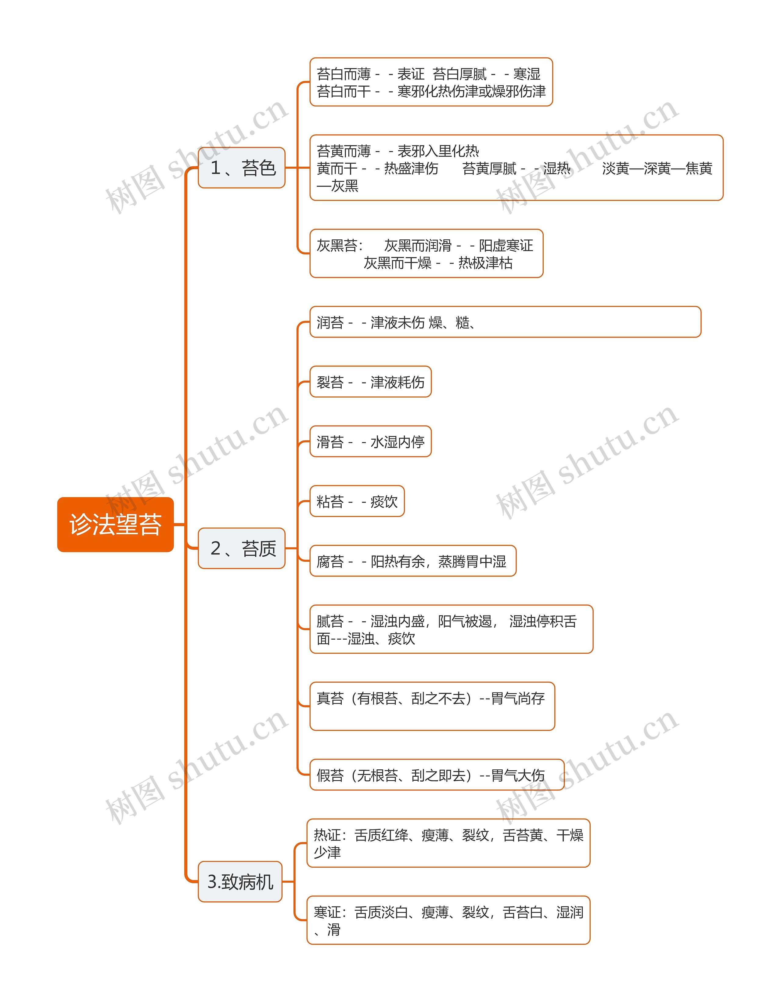 诊法望苔思维导图