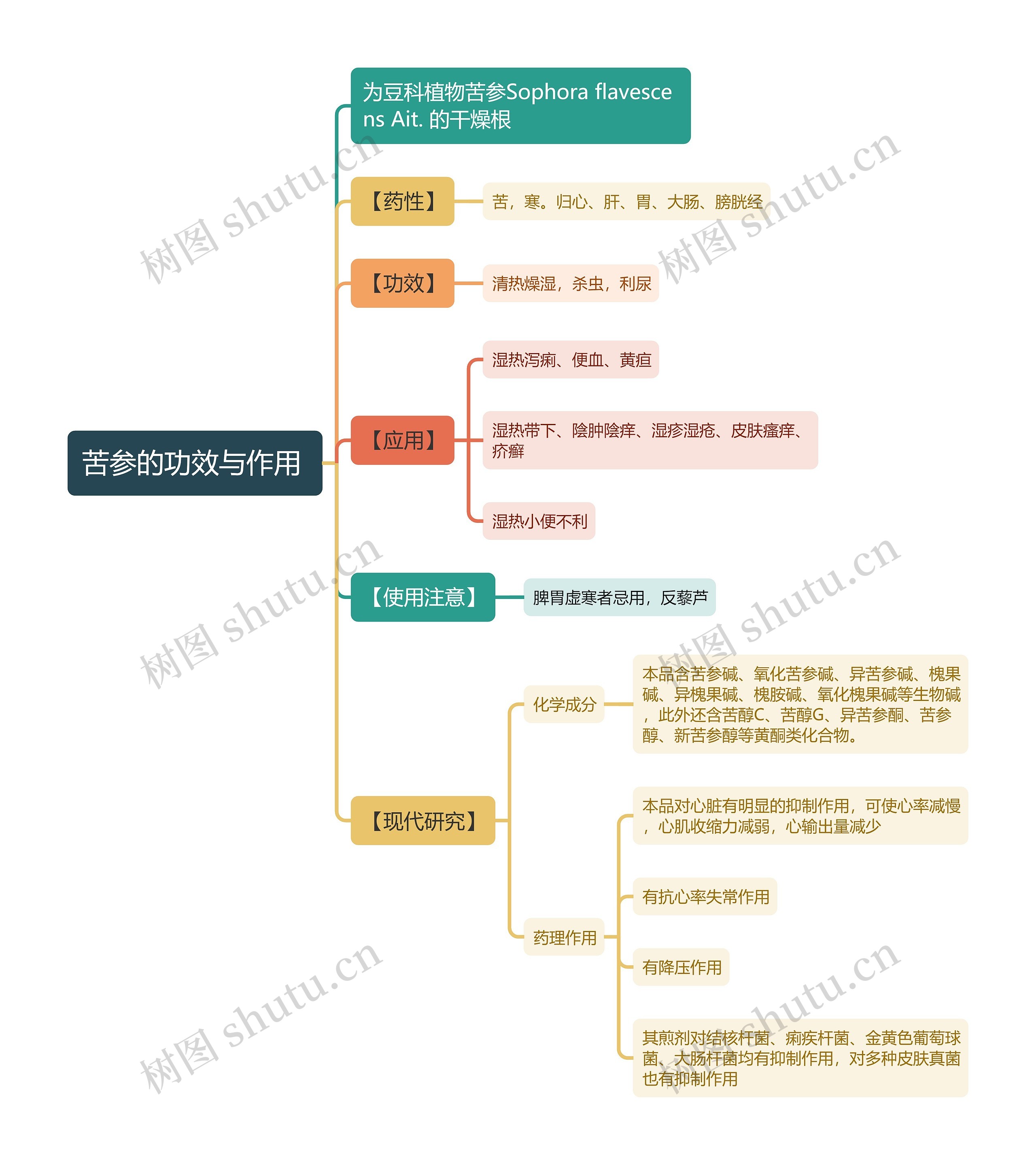 苦参的功效与作用
