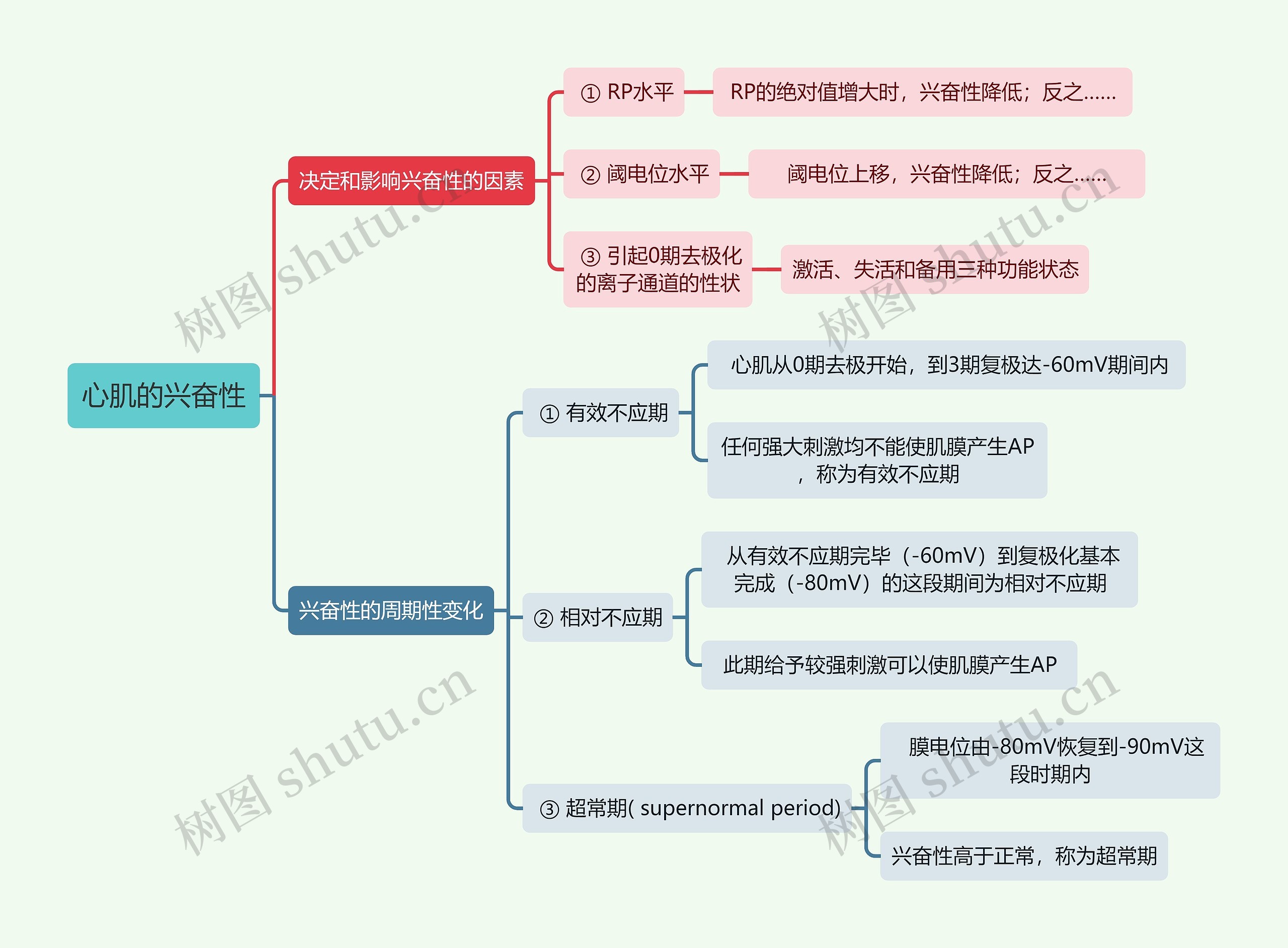 医学知识心肌的兴奋性思维导图