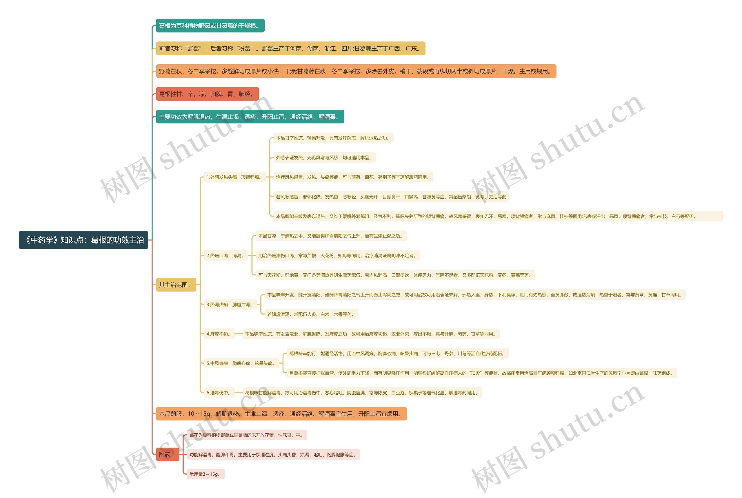 《中药学》知识点：葛根的功效主治思维导图