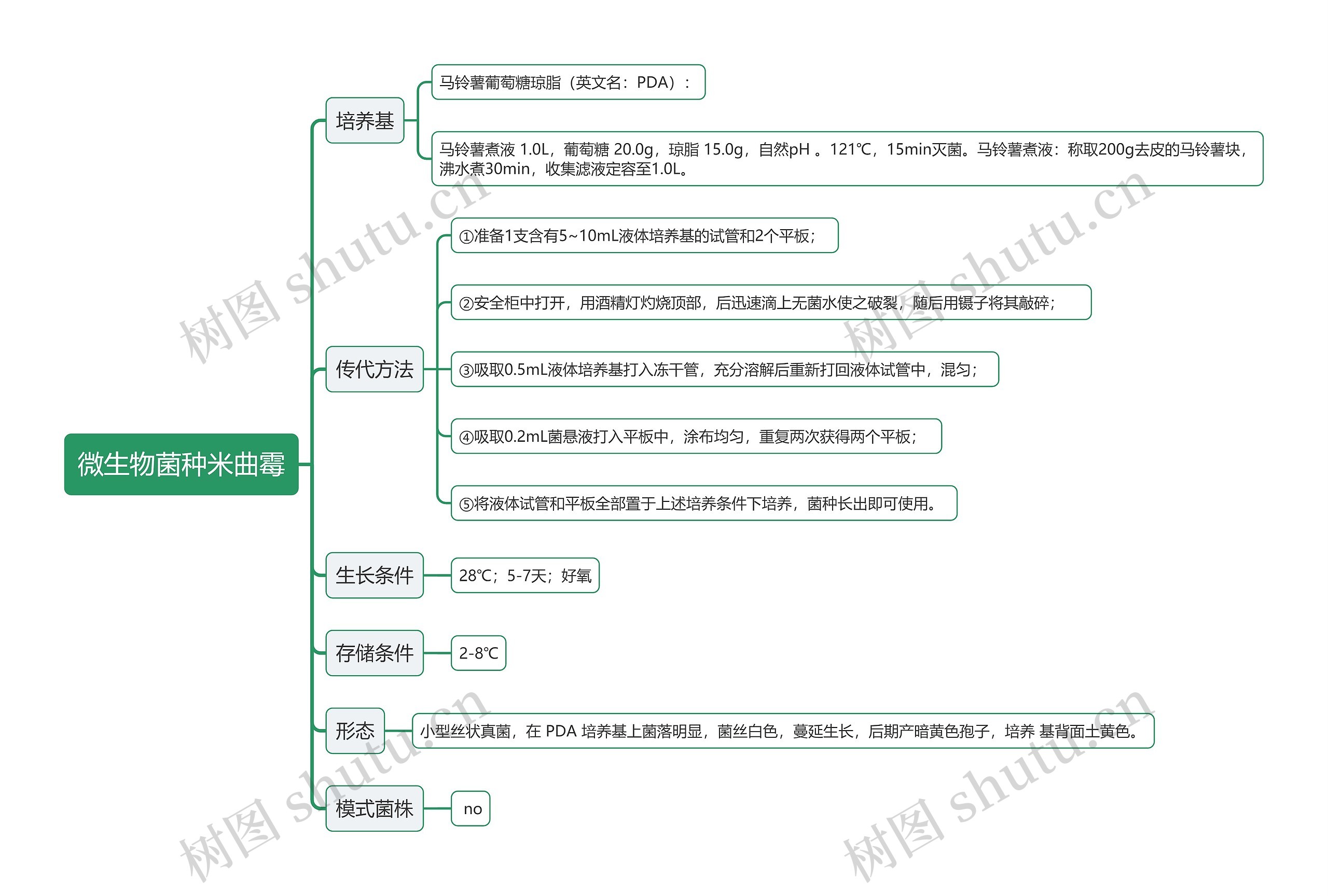 微生物菌种米曲霉思维导图