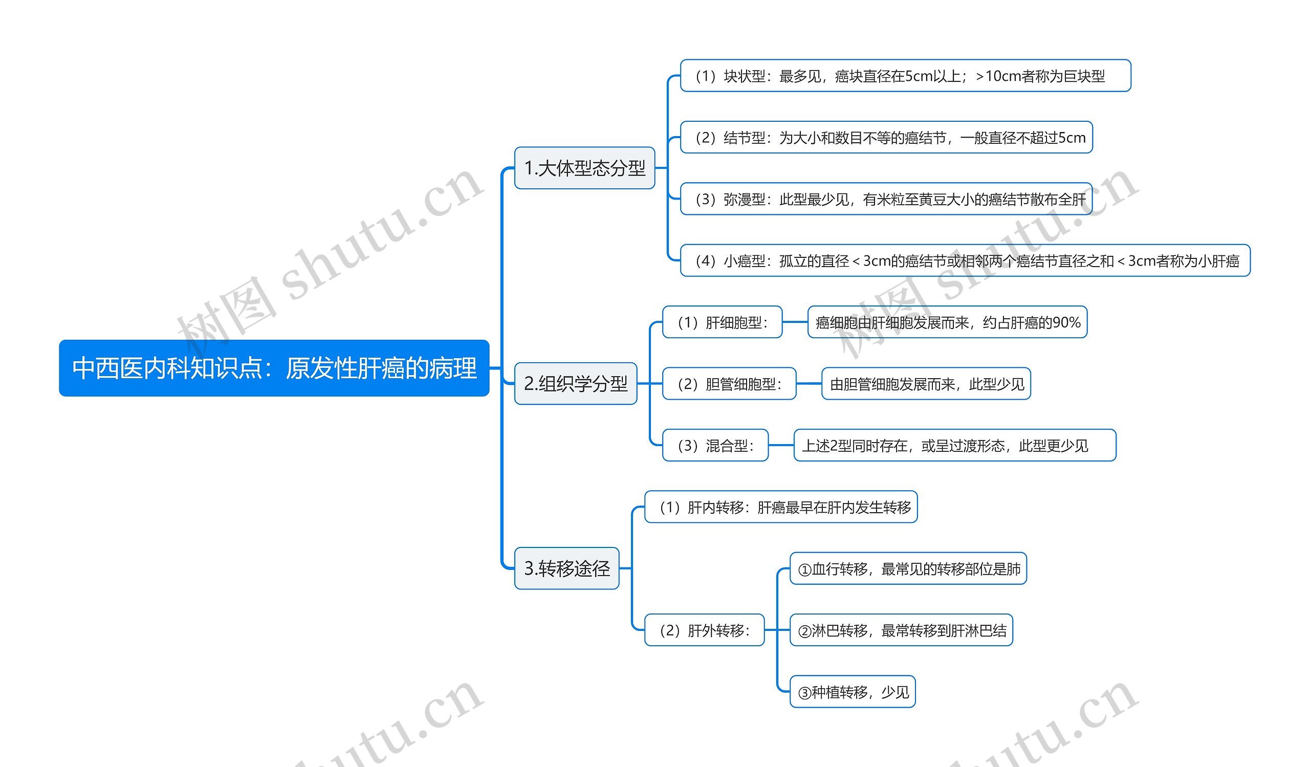 中西医内科知识点：原发性肝癌的病理