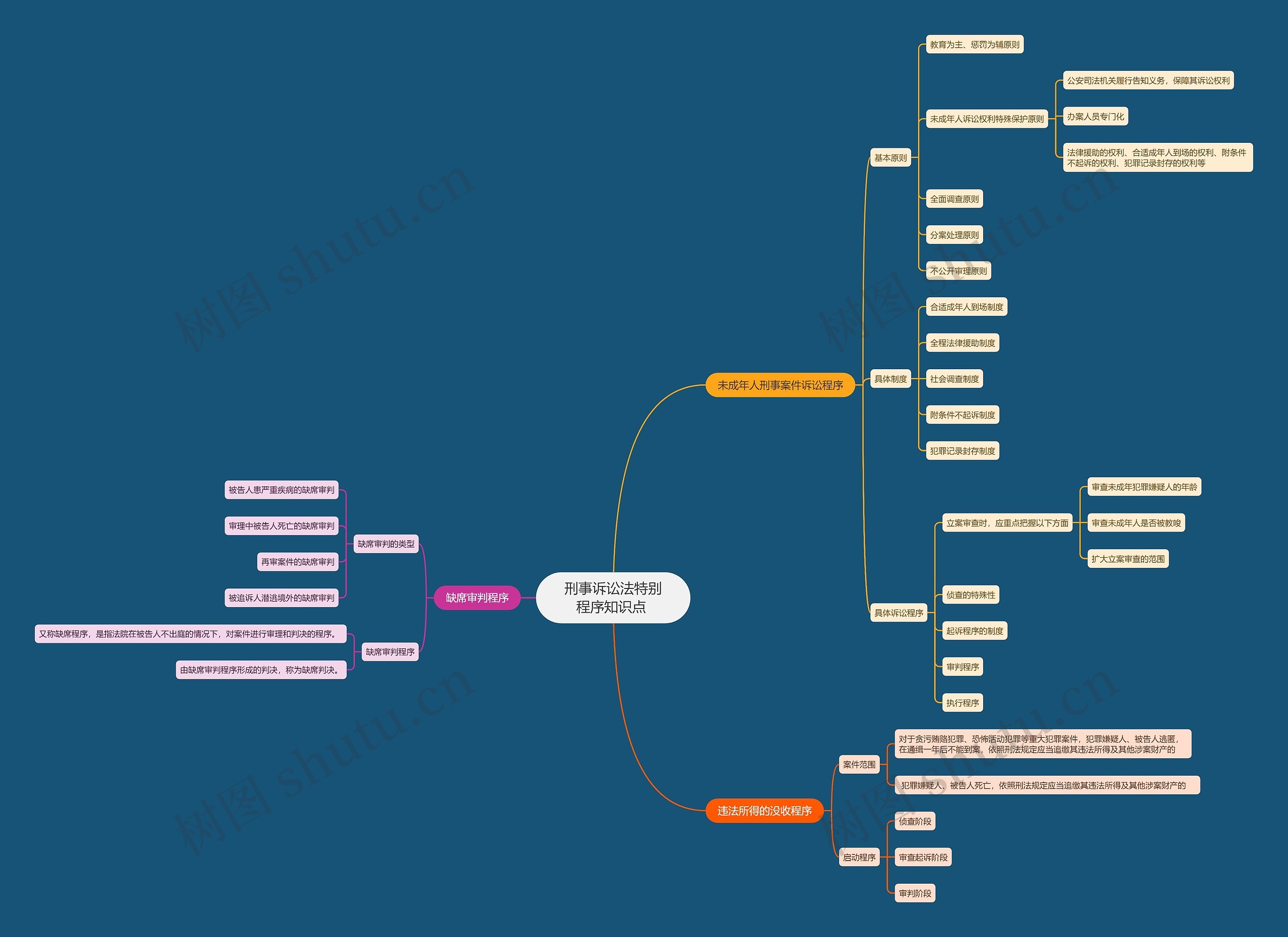 刑事诉讼法特别程序知识点 思维导图