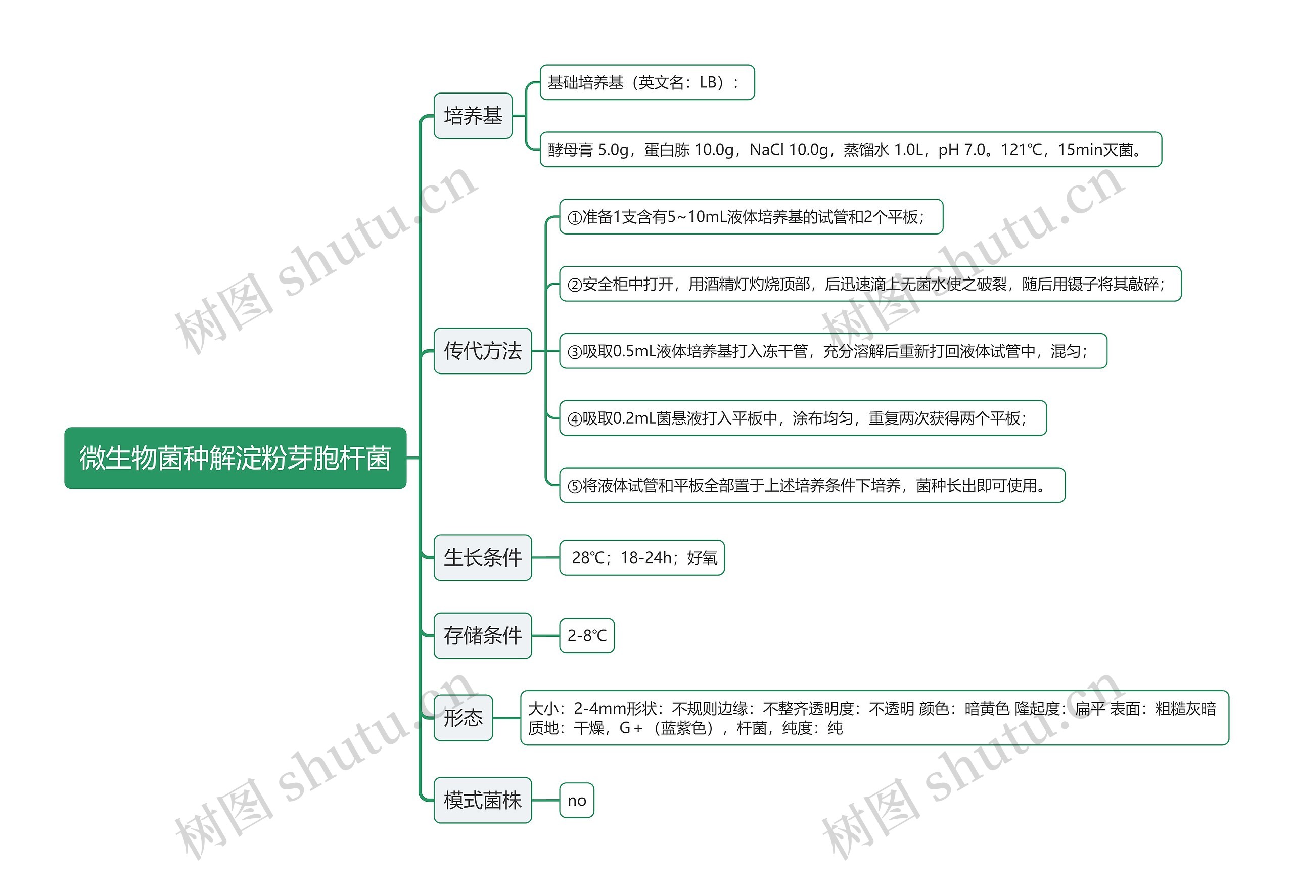 微生物菌种解淀粉芽胞杆菌思维导图