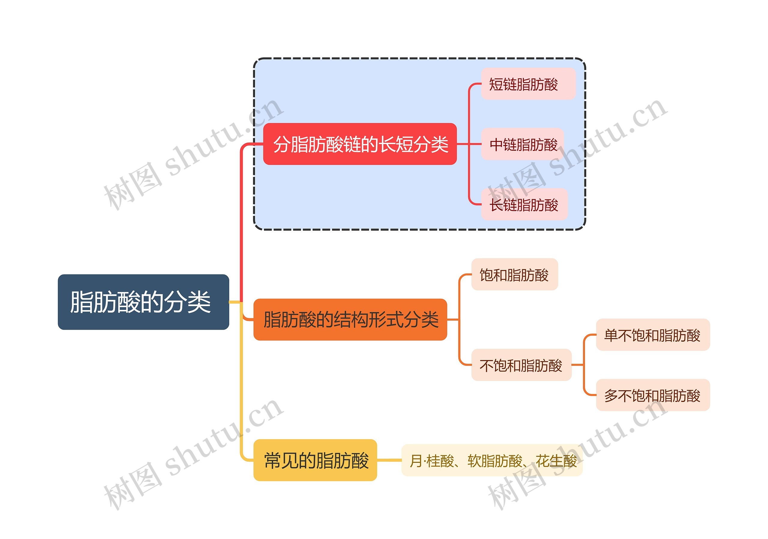 医学知识脂肪酸的分类思维导图