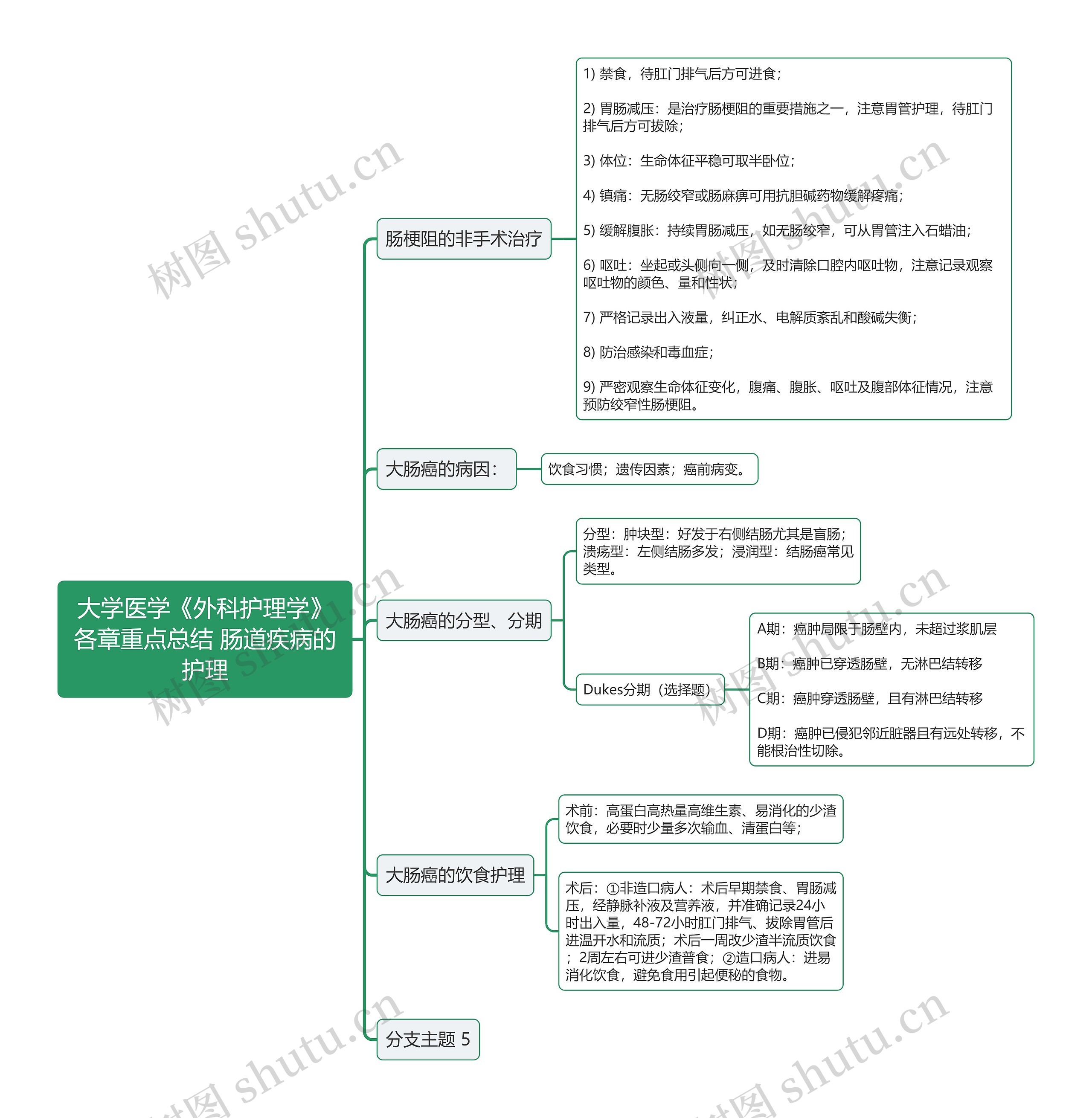 大学医学《外科护理学》各章重点总结 肠道疾病的护理思维导图